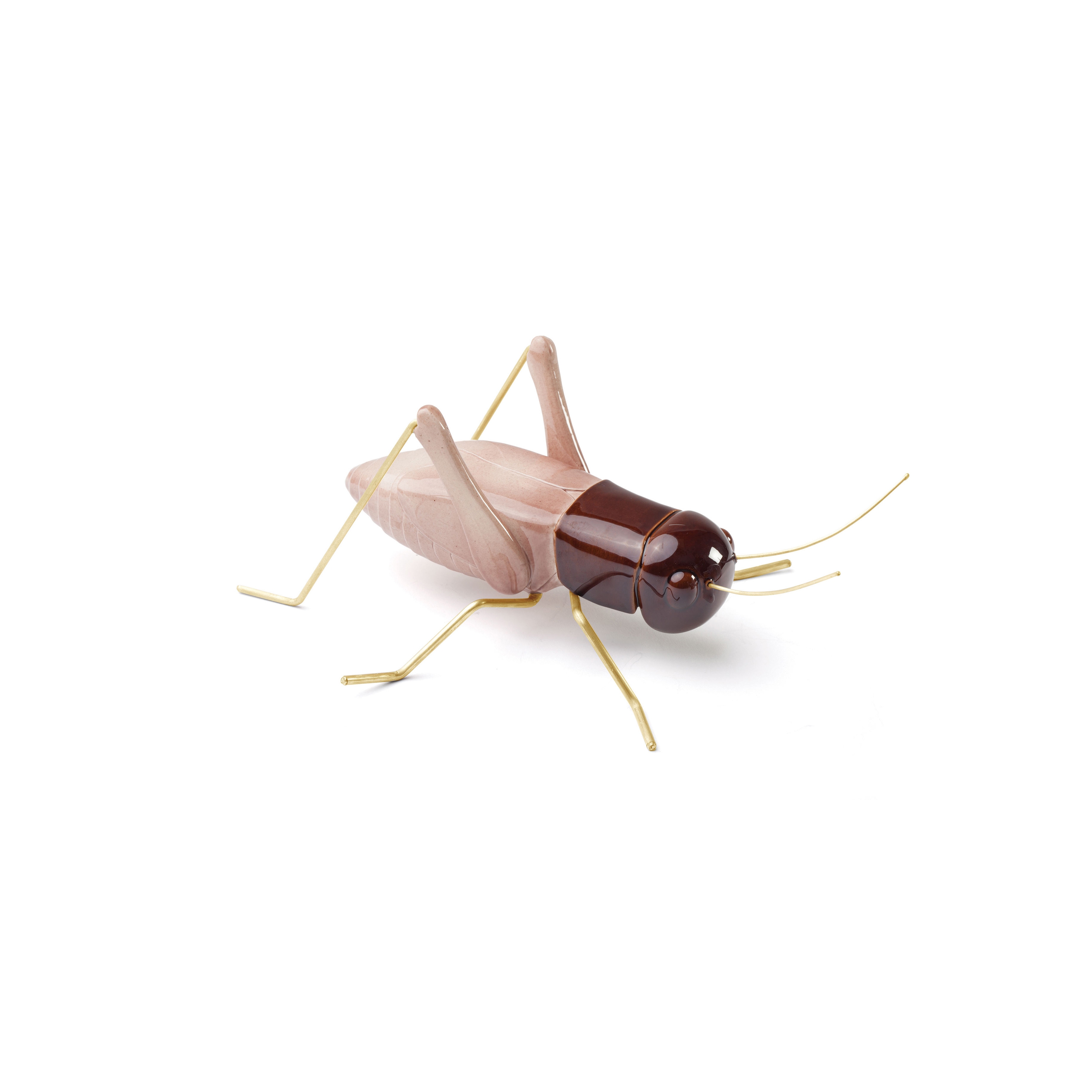 Fauna Cricket