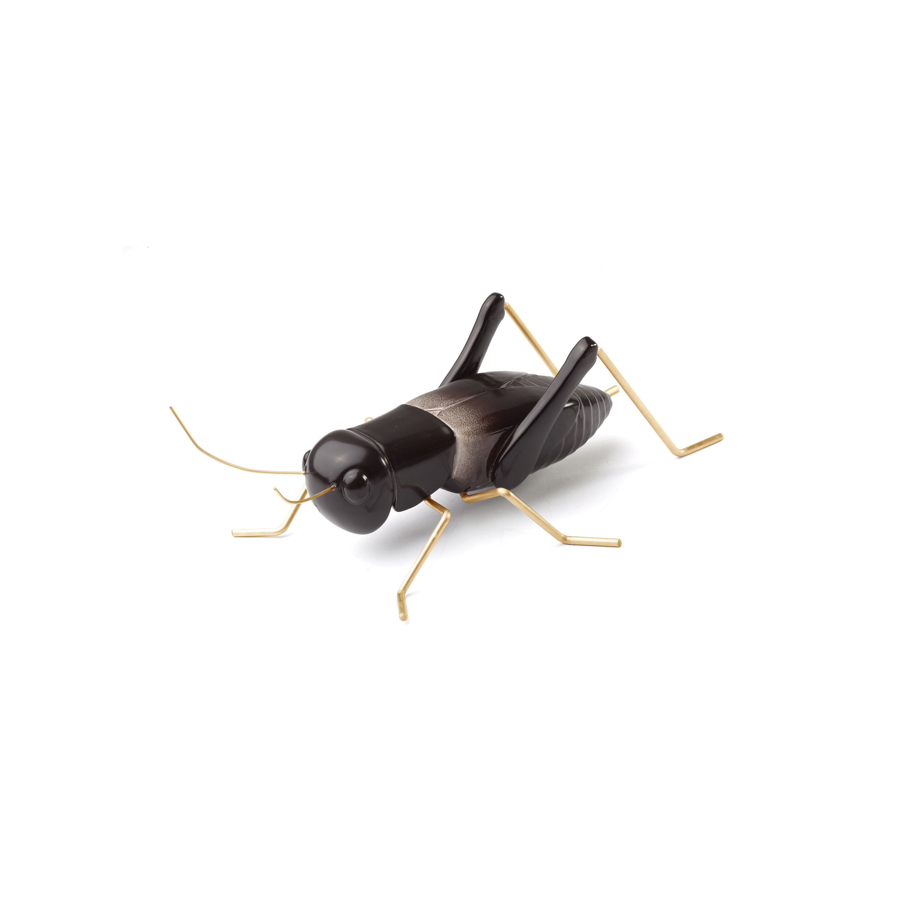 Produkt Fauna Cricket des Herstellers Mambo Unlimited Ideas anzeigen