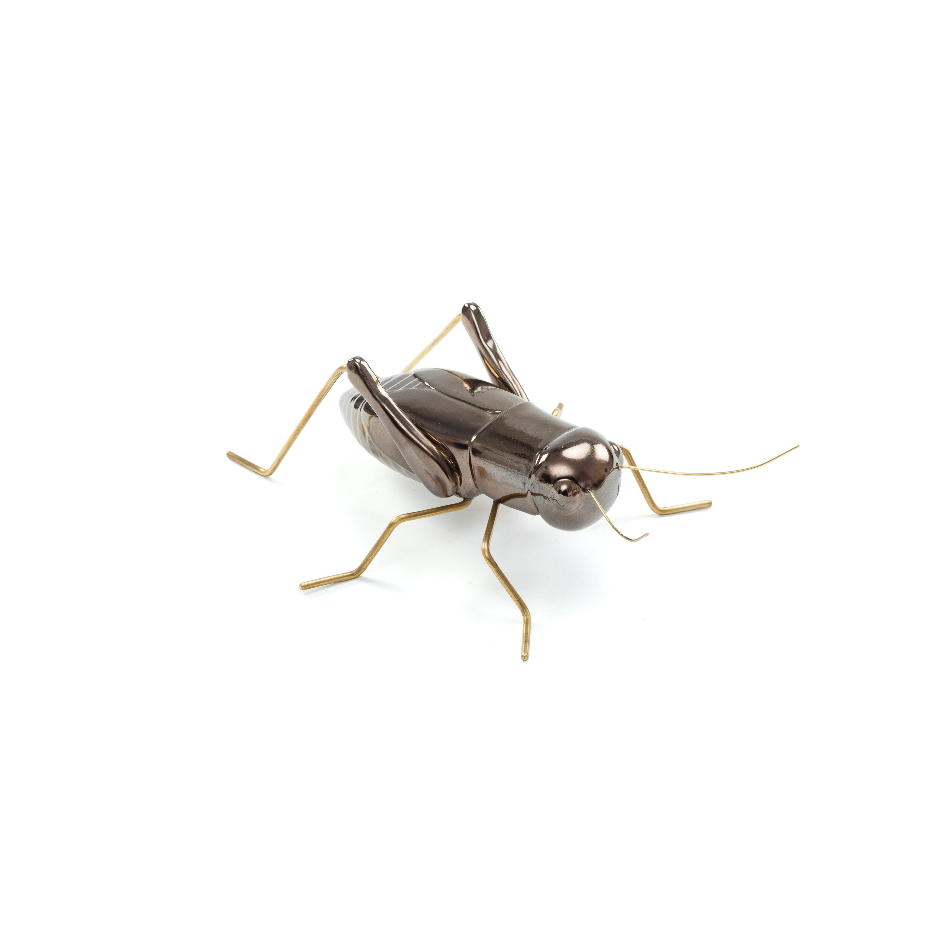 Fauna Cricket