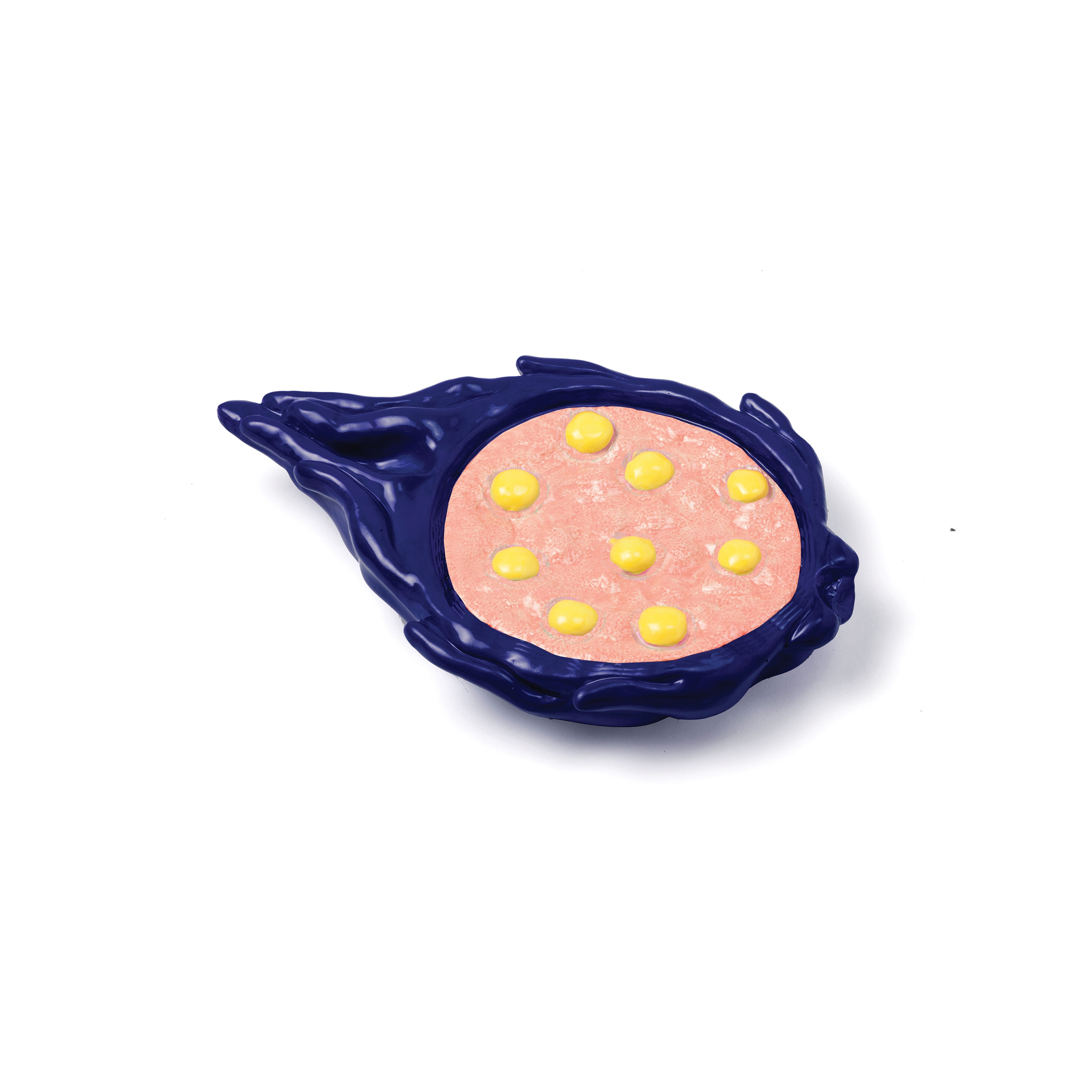 Produkt Salvé Terra Pitaya des Herstellers Mambo Unlimited Ideas anzeigen