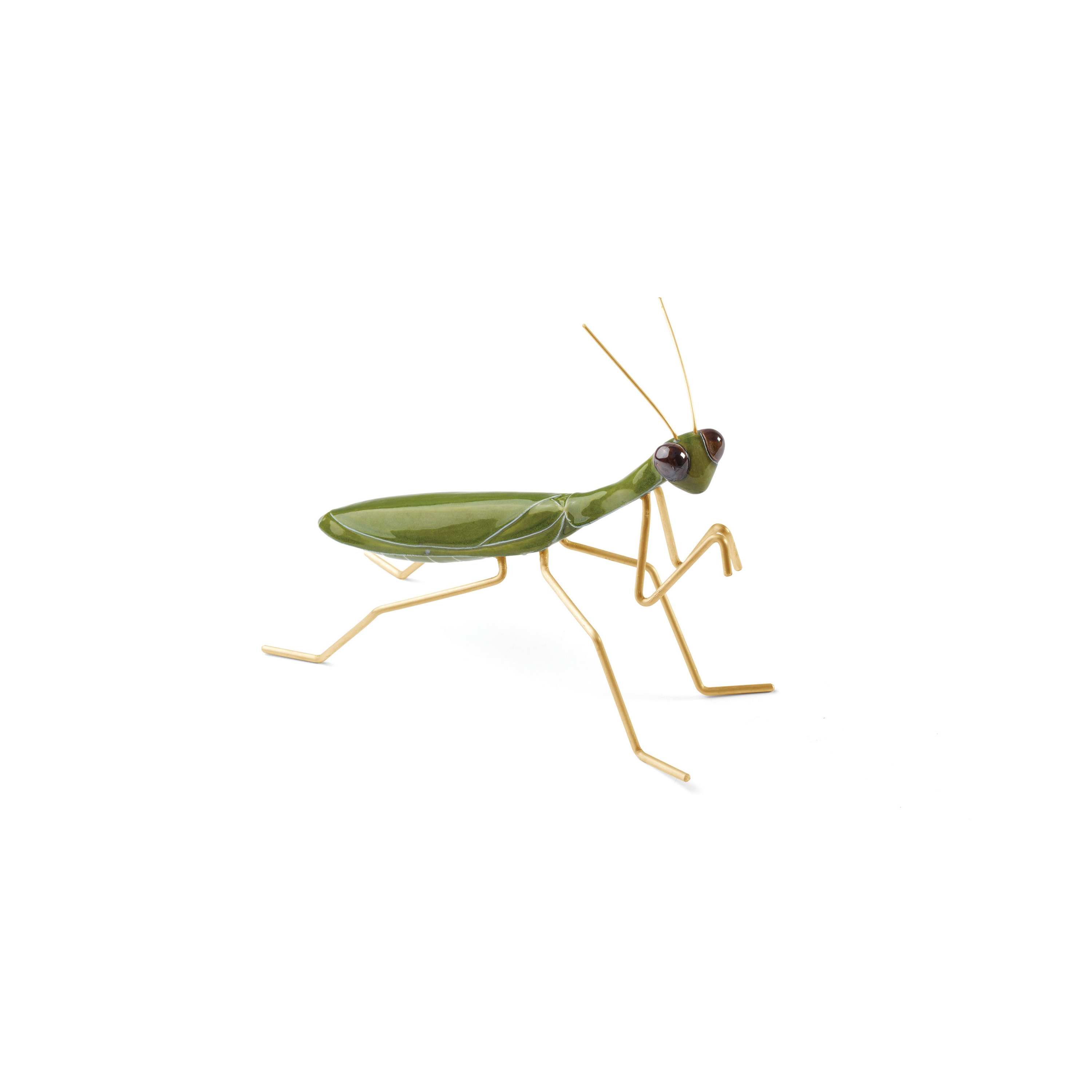 Fauna Praying Mantis