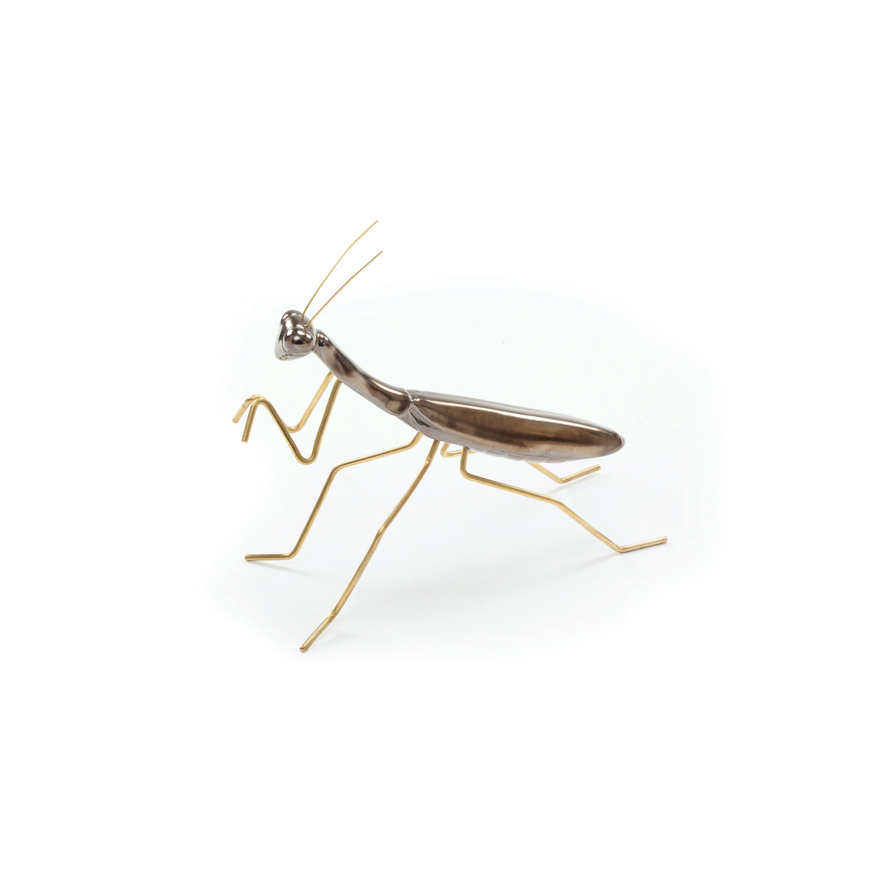 Produkt Fauna Praying Mantis des Herstellers Mambo Unlimited Ideas anzeigen