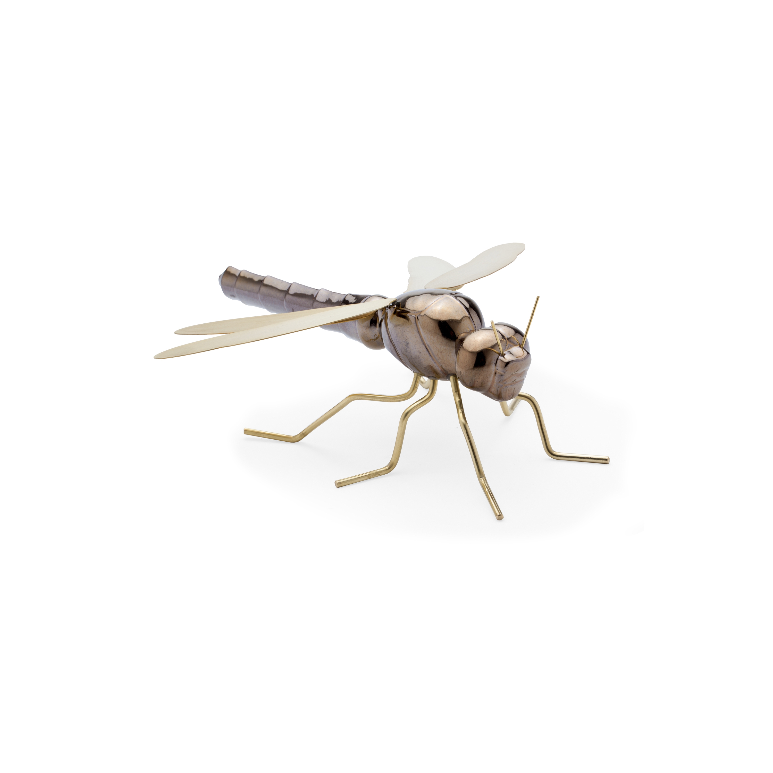 Fauna Dragonfly