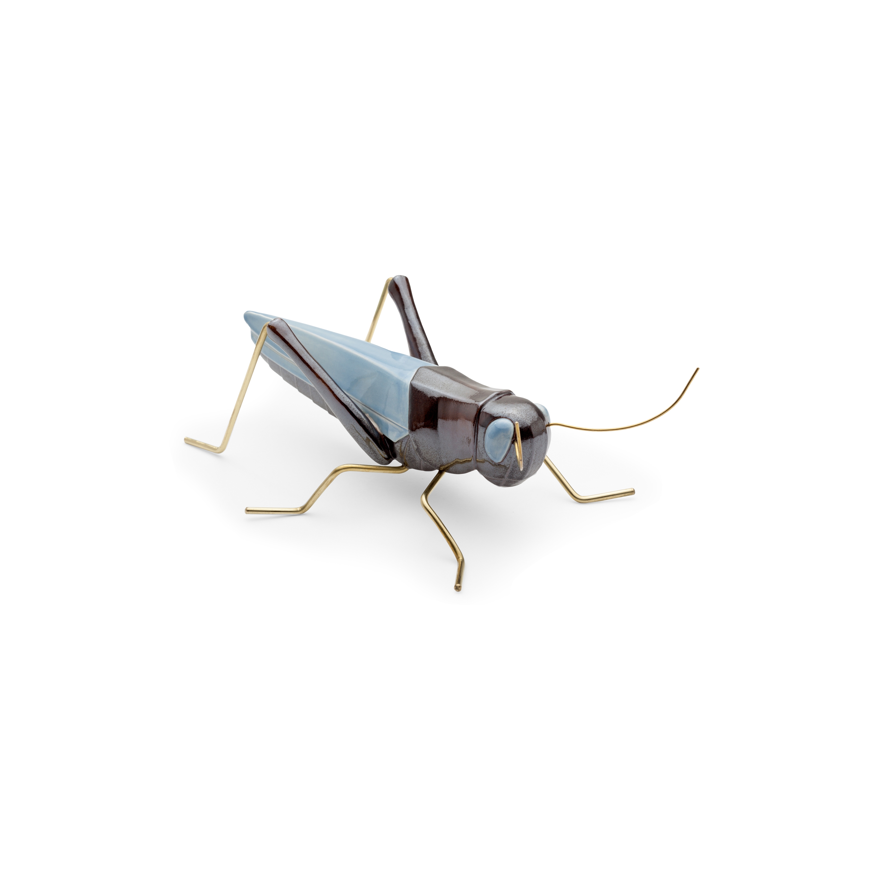 Fauna Grasshopper