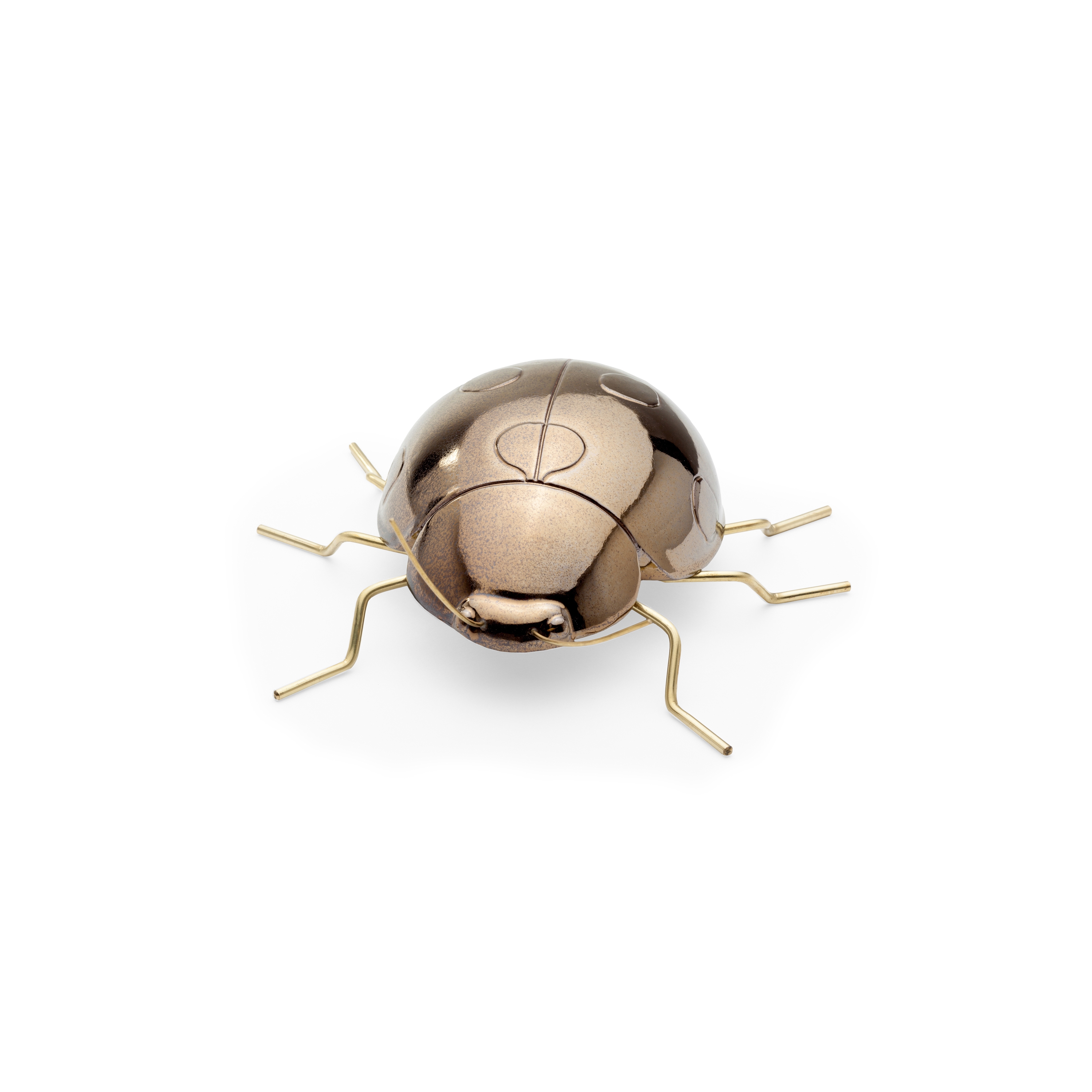 Fauna Ladybug