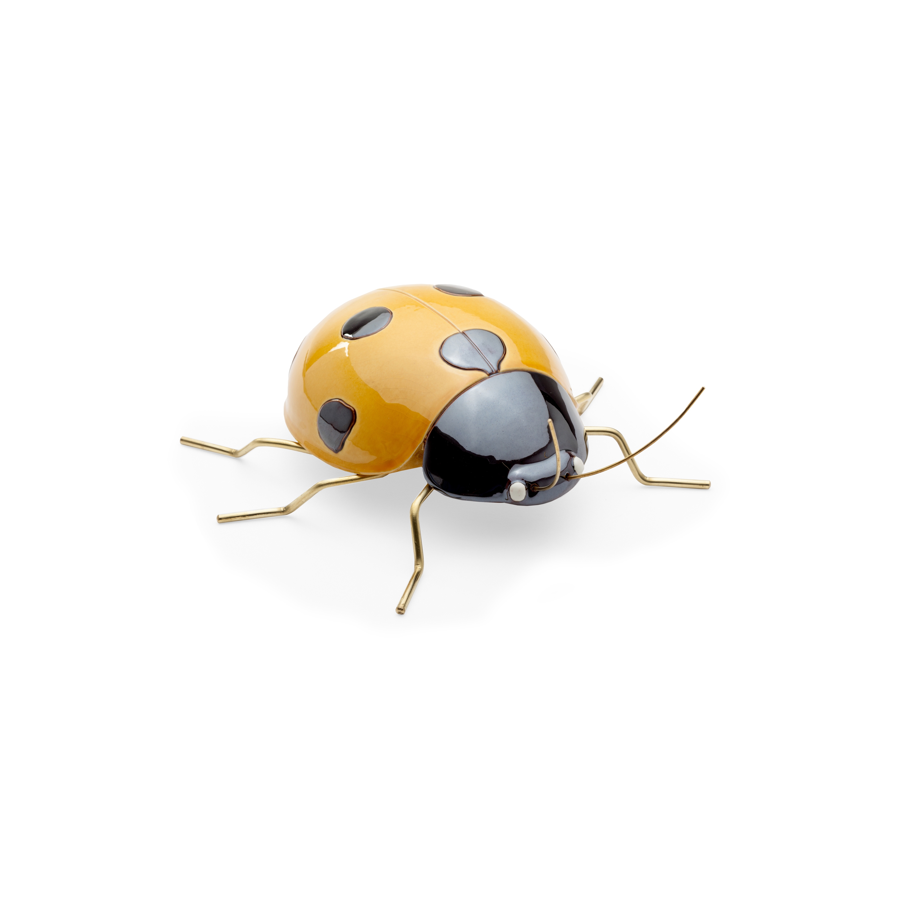 Fauna Ladybug
