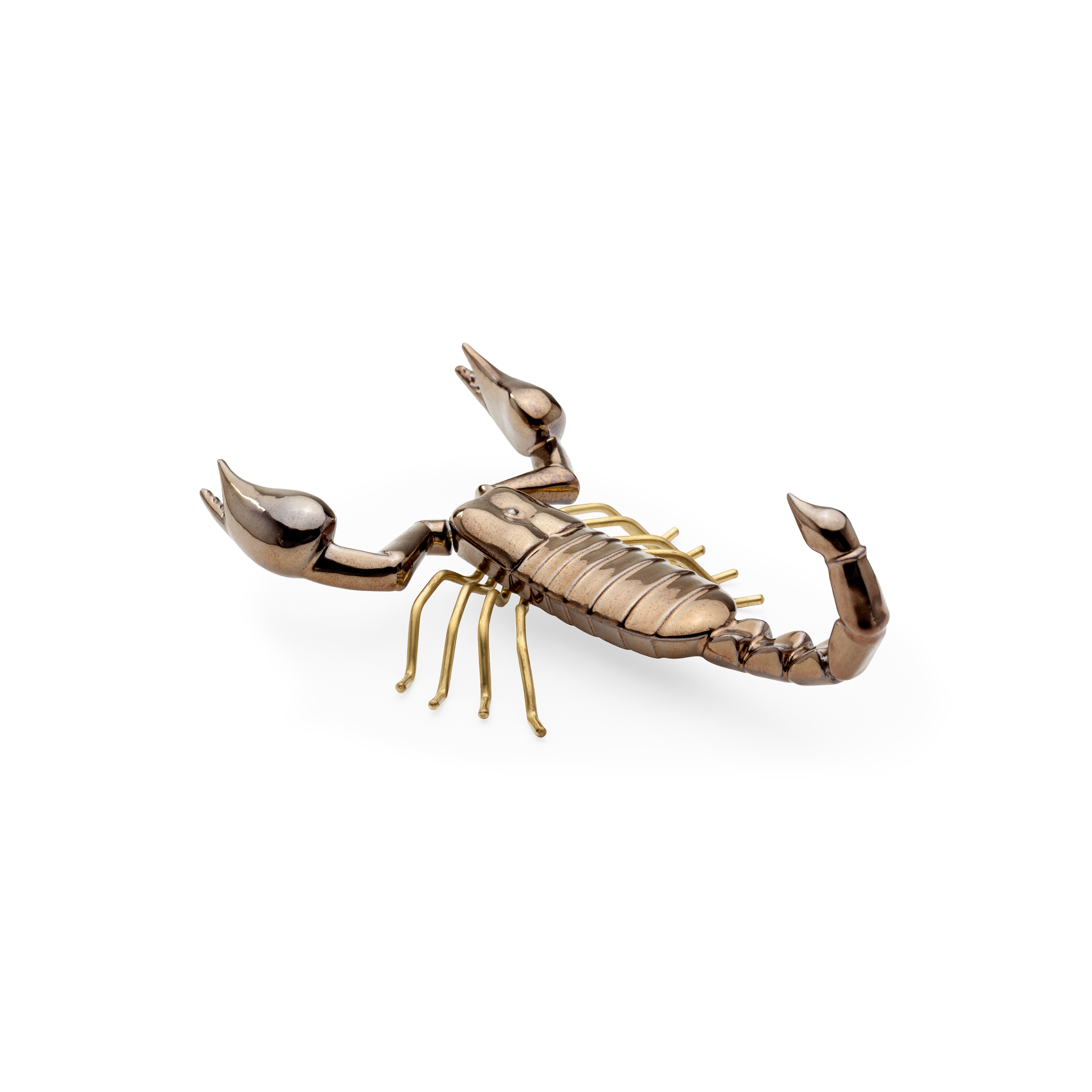 Fauna Scorpion