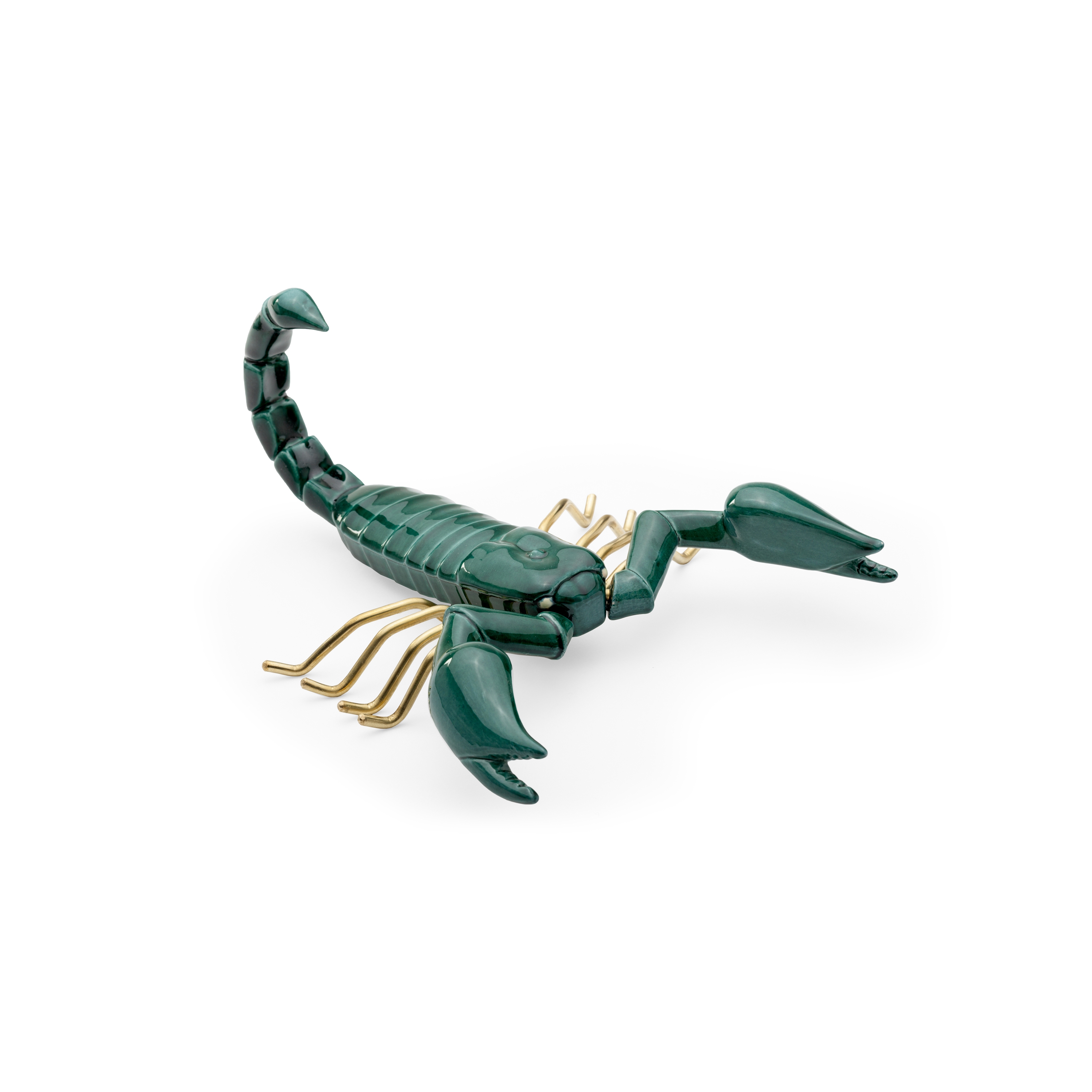 Fauna Scorpion