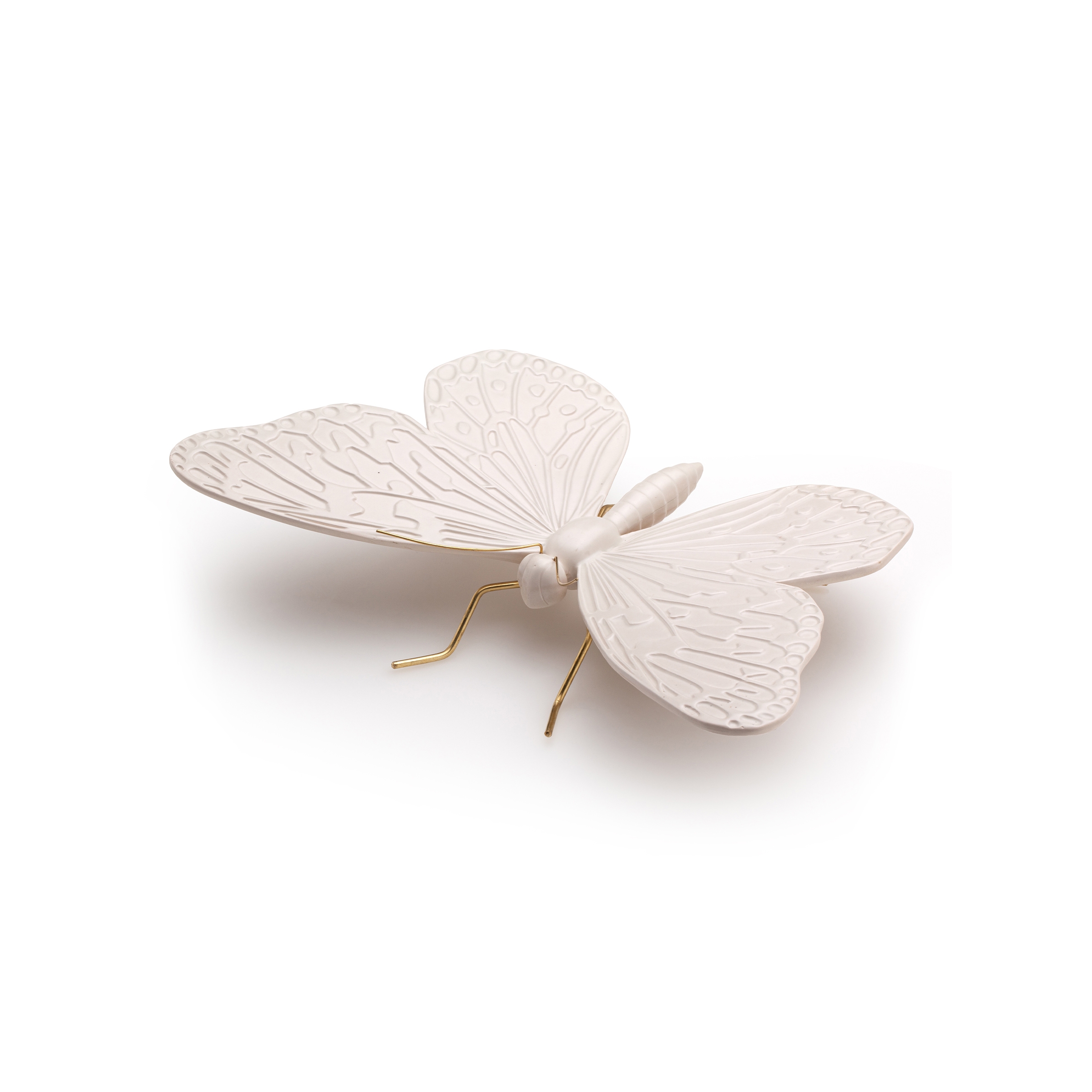 Asian nude butterfly