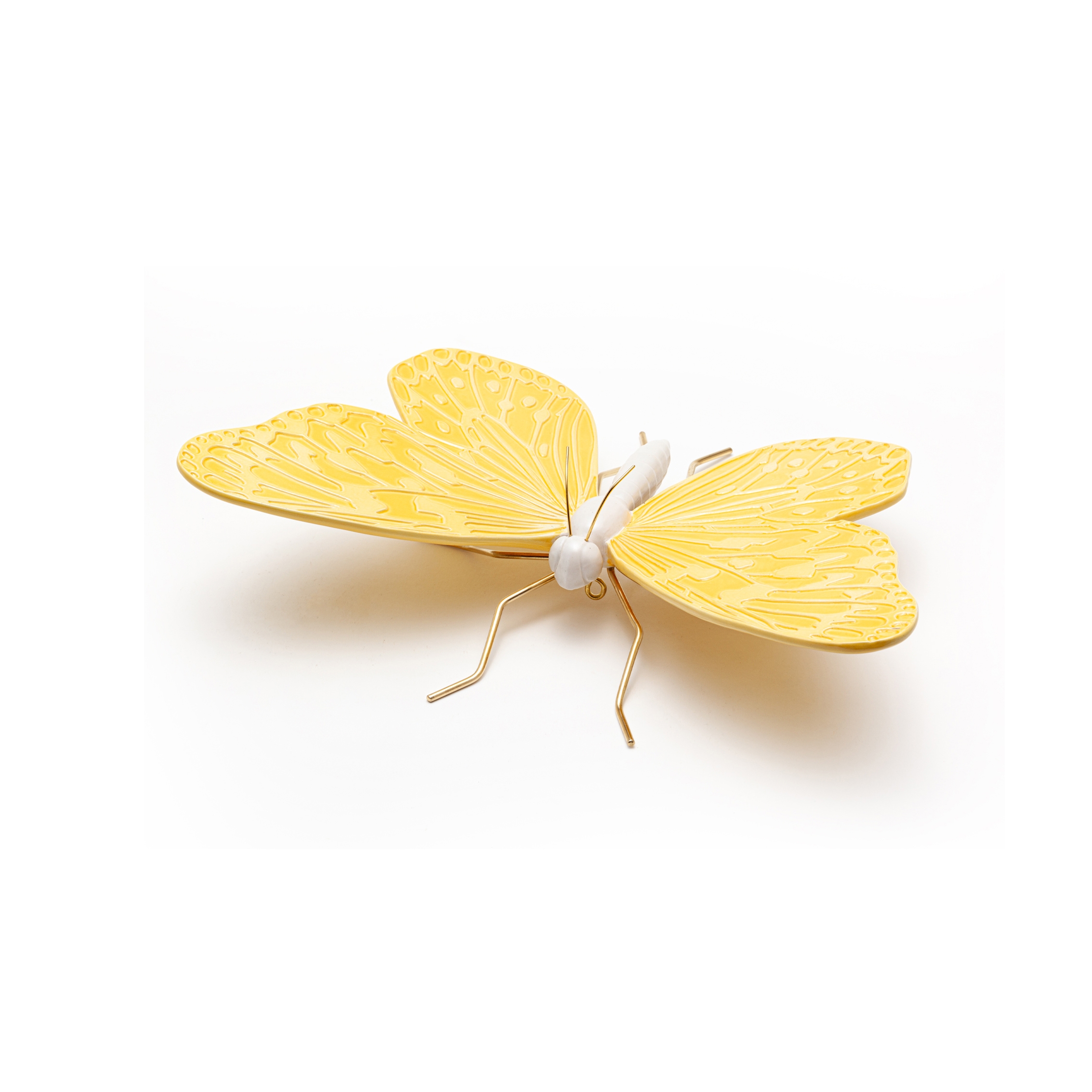 Asian yellow butterfly