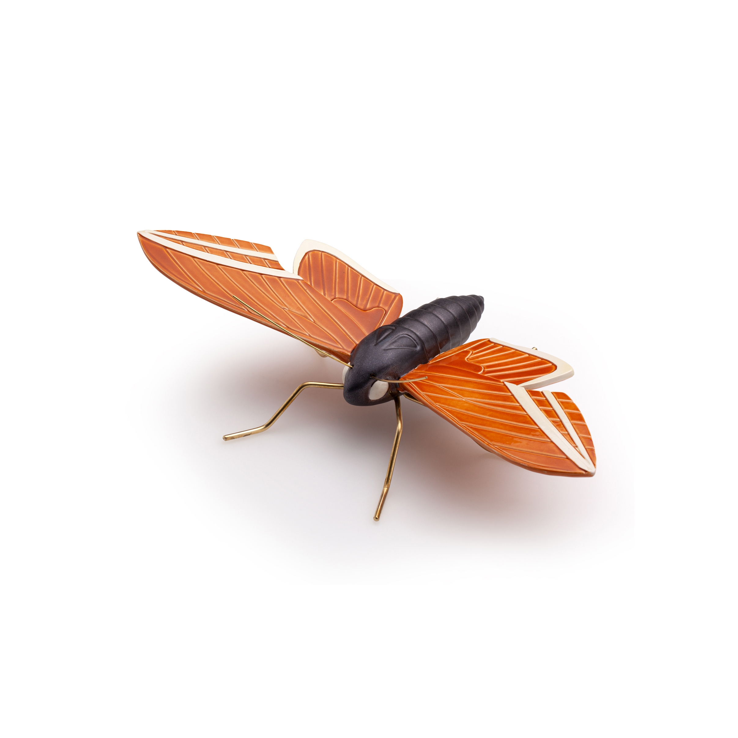 Elephant orange butterfly