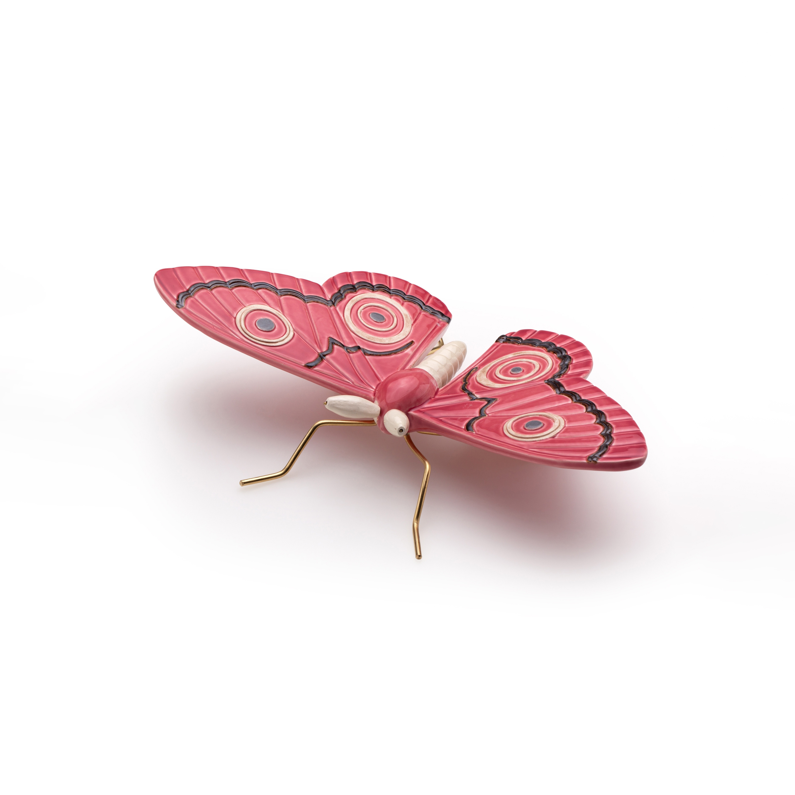 Peacock pink butterfly