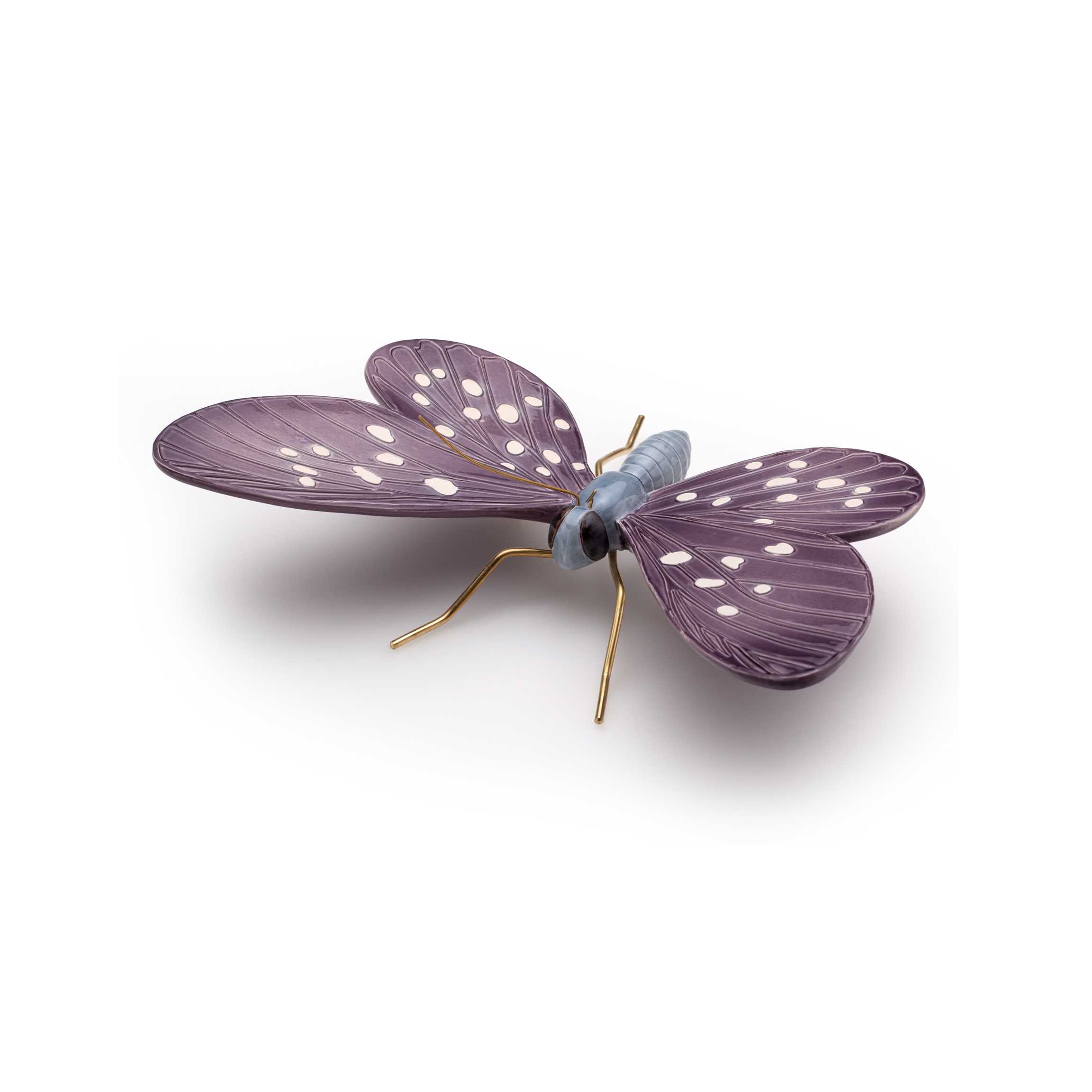 Shadow lilac butterfly