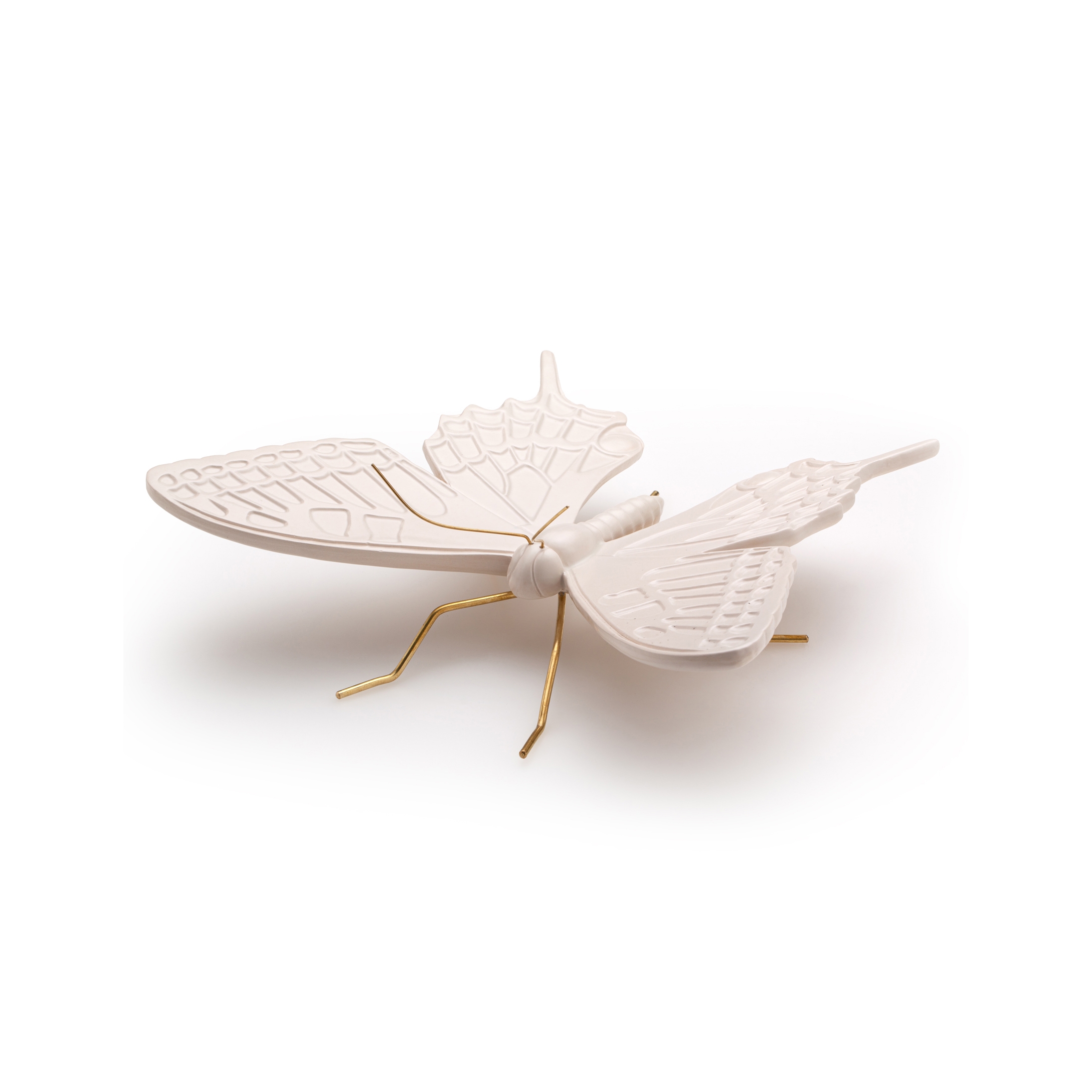 Swallow nude butterfly