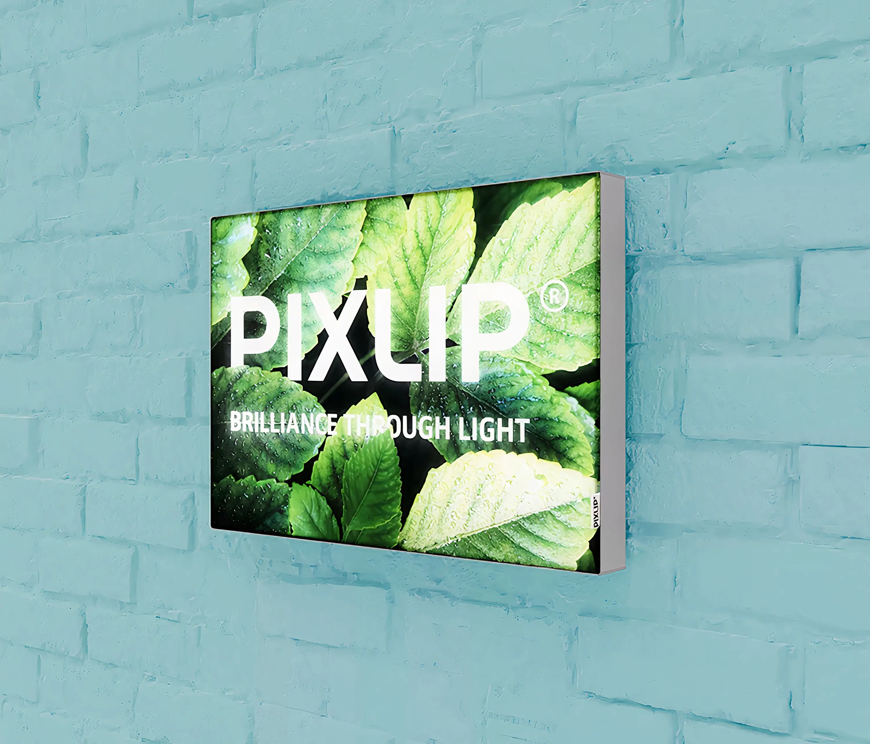 PIXLIP - FLAT Sample Lightbox