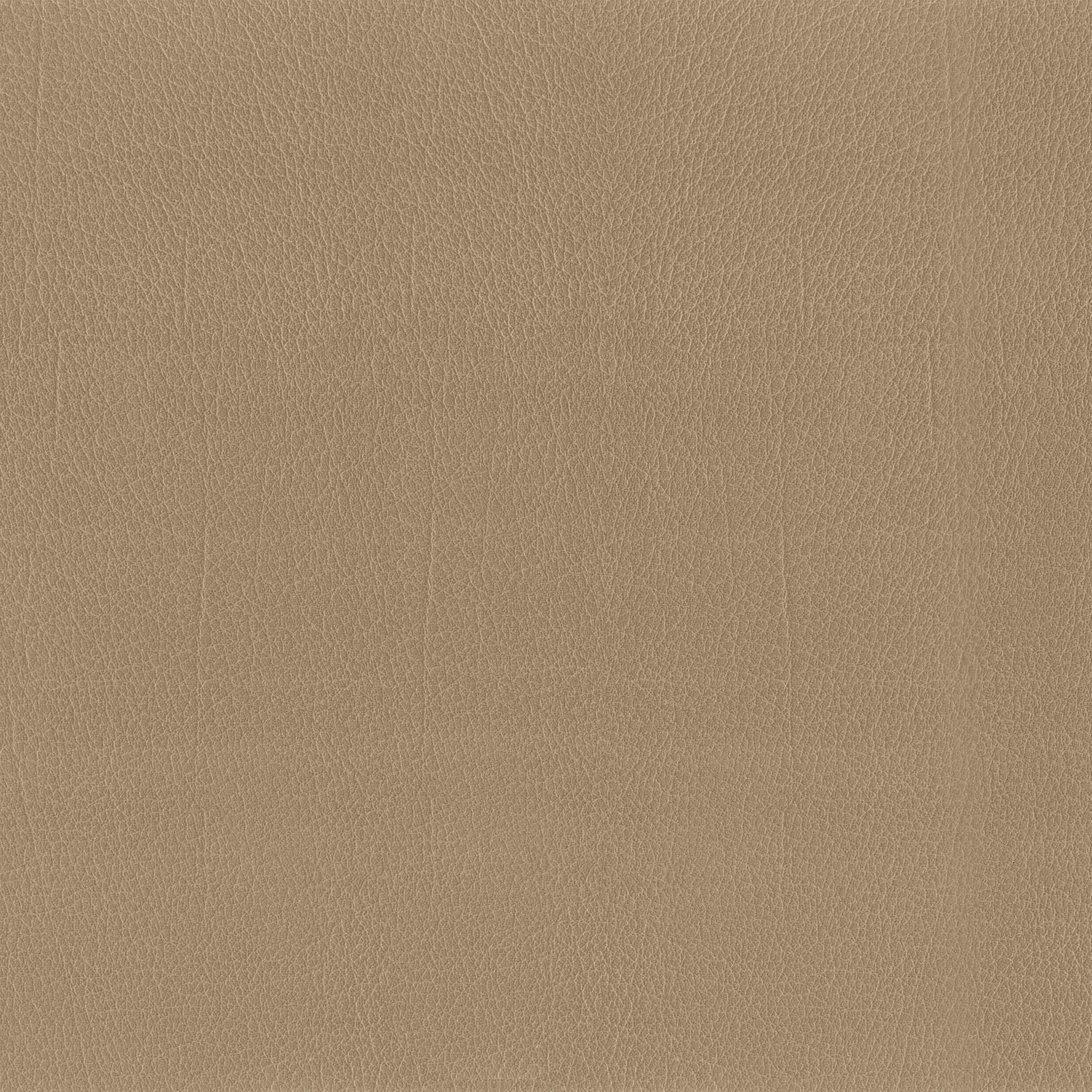 Display product Como | Taupe from manufacturer MI-Millennium International