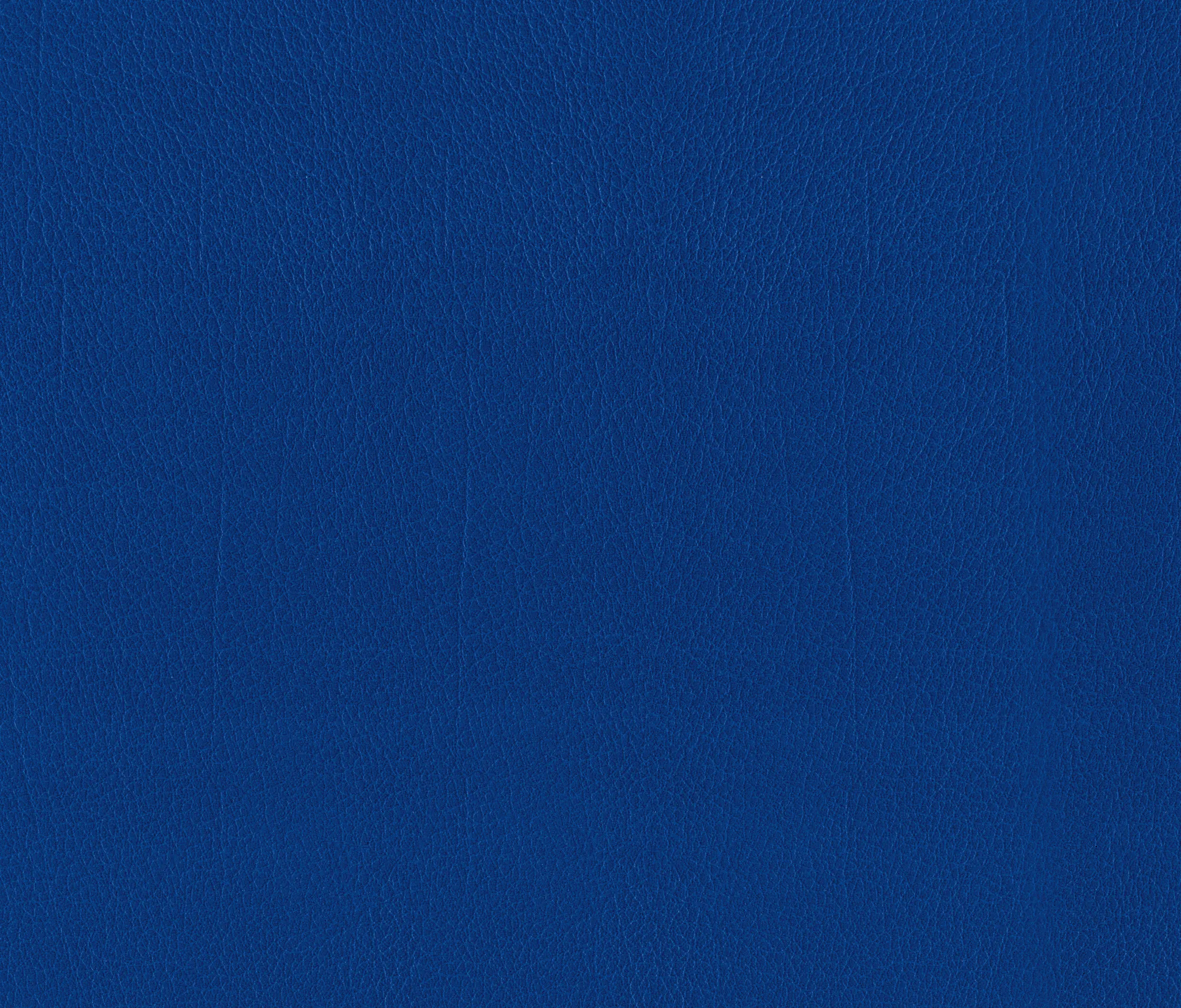 MI-Millennium International - Como | Delft