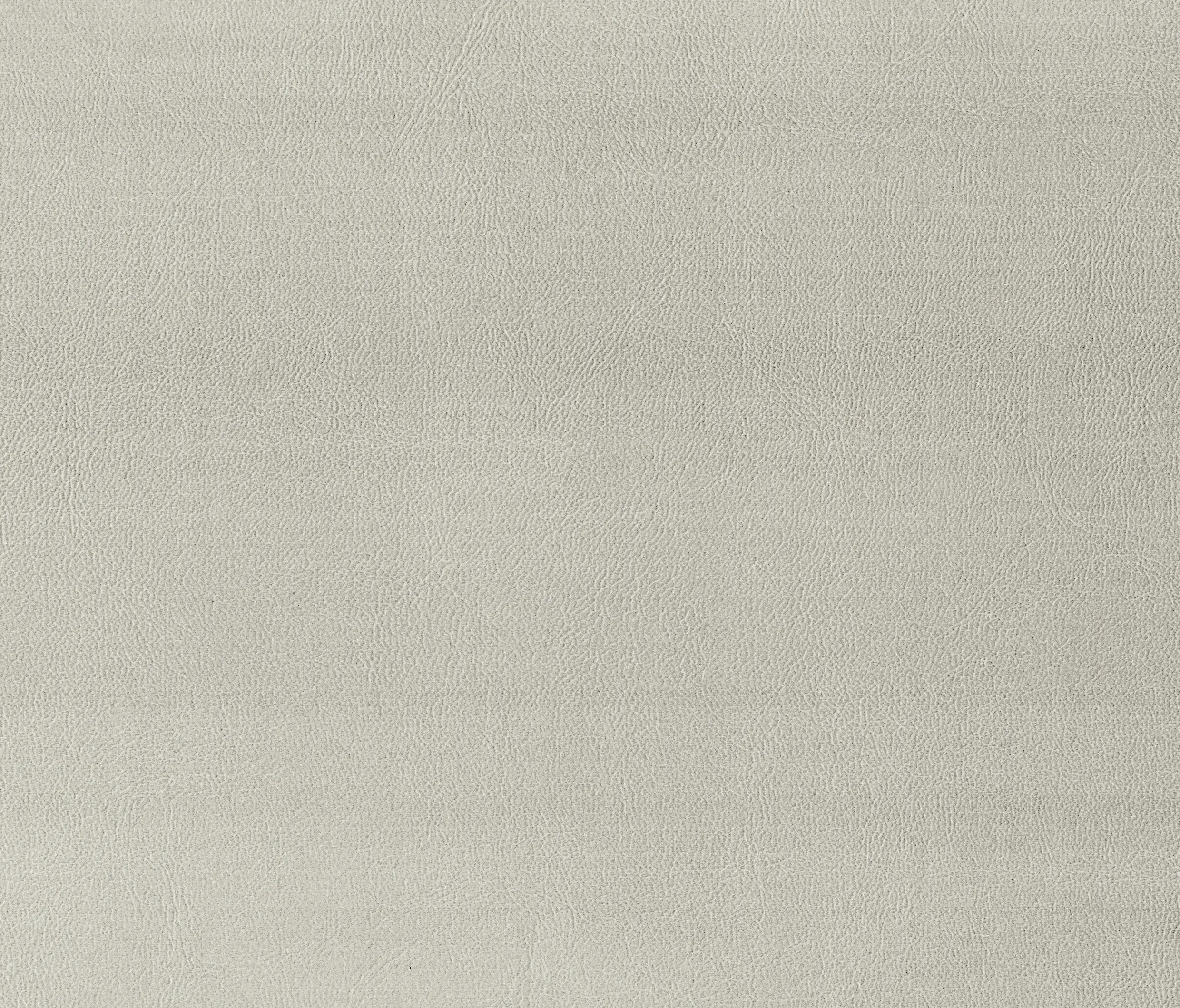 MI-Millennium International - Malaga | Auster