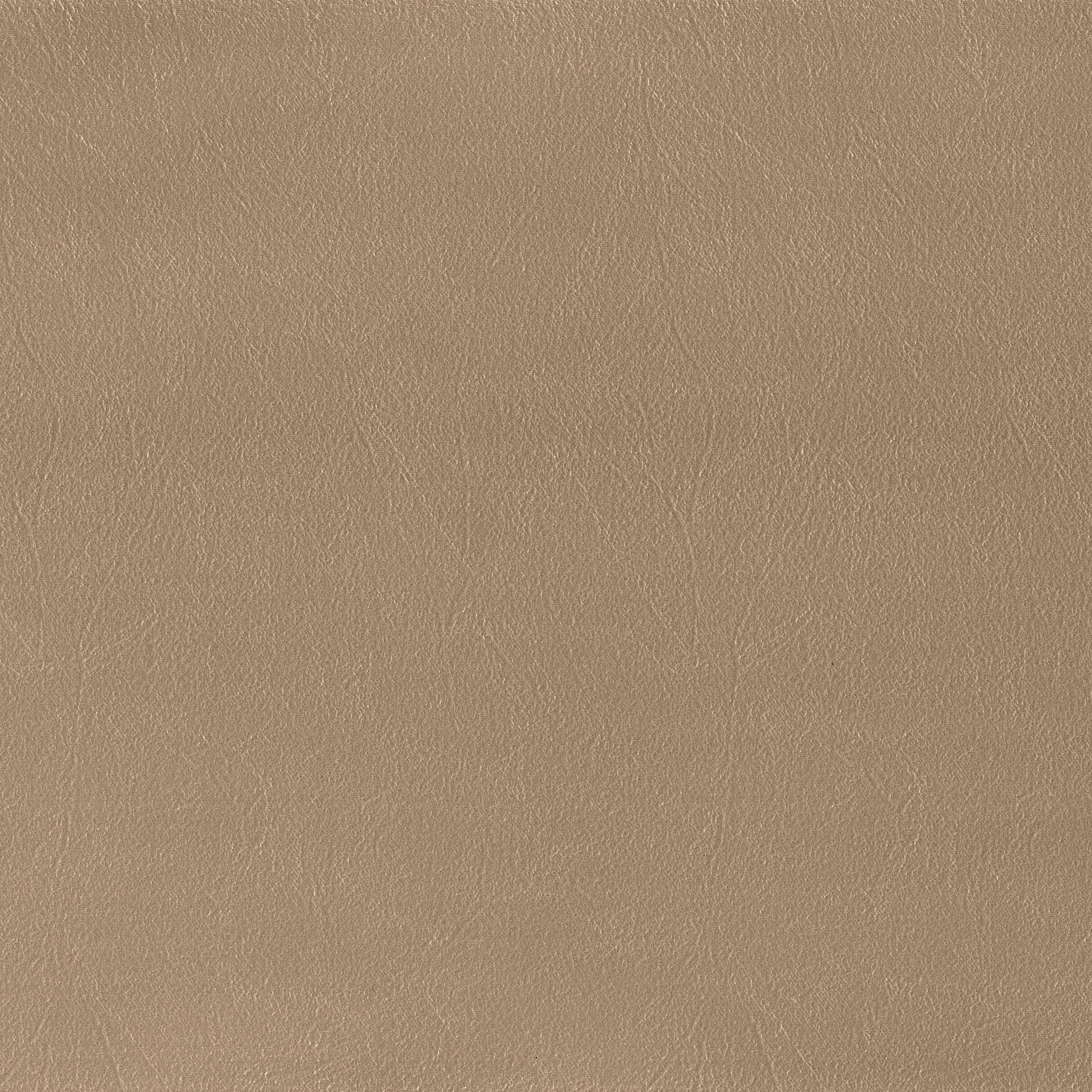 Mostra il prodotto Bergamo | Taupe del produttore MI-Millennium International