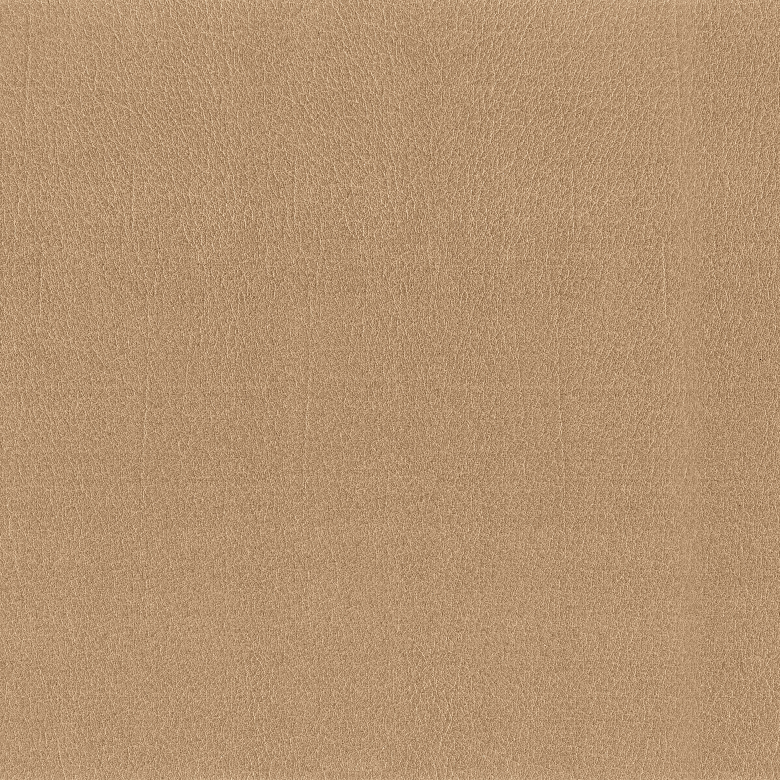 Mostra il prodotto Como | Beige del produttore MI-Millennium International
