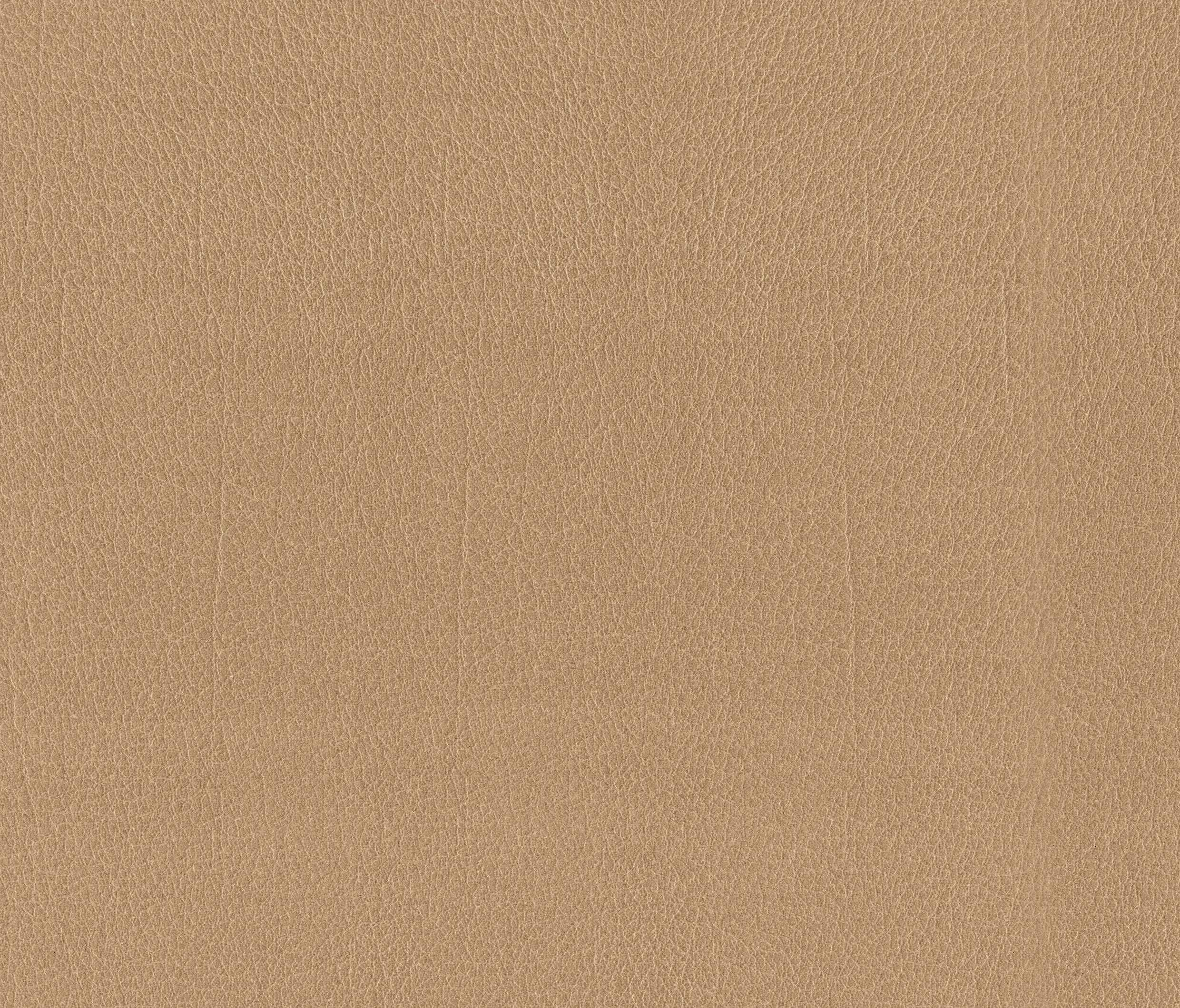 MI-Millennium International - Como | Beige
