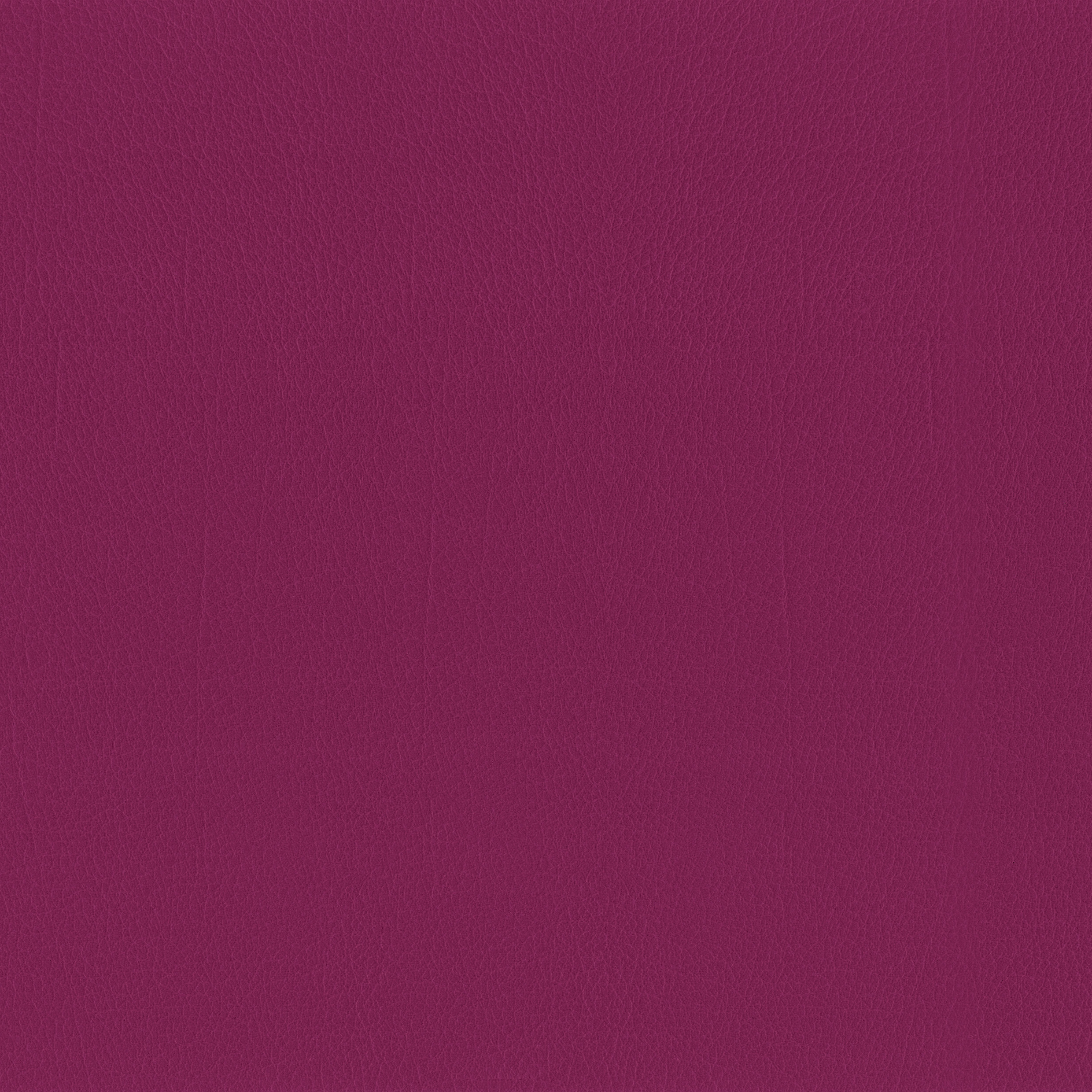 Mostra il prodotto Como | Berry del produttore MI-Millennium International