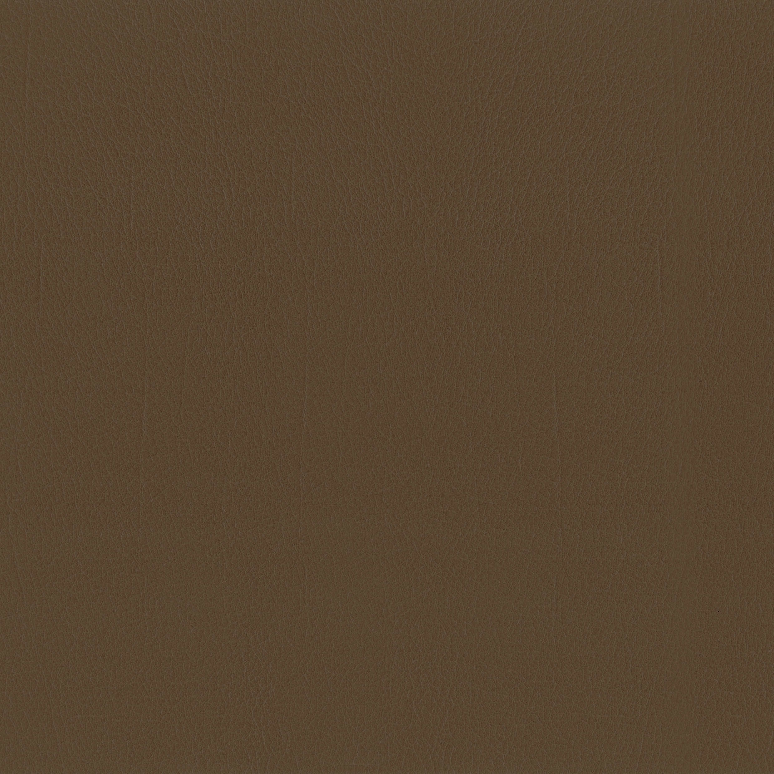 Mostra il prodotto Como | Bronze del produttore MI-Millennium International
