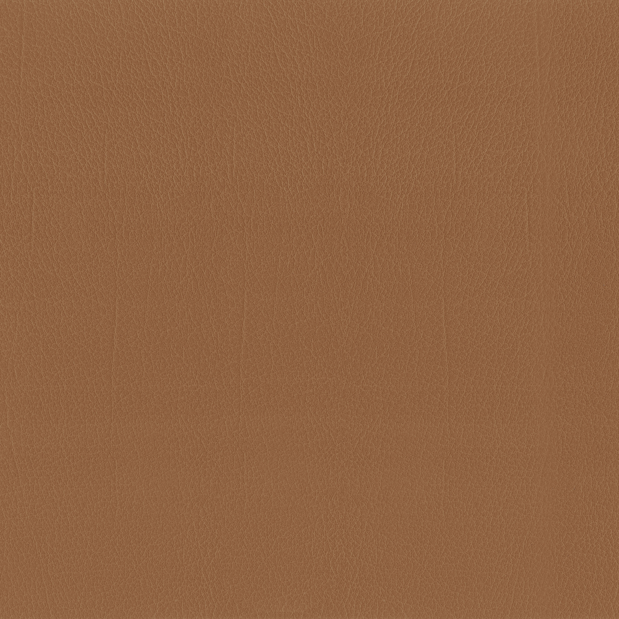 Mostra il prodotto Como | Cognac del produttore MI-Millennium International
