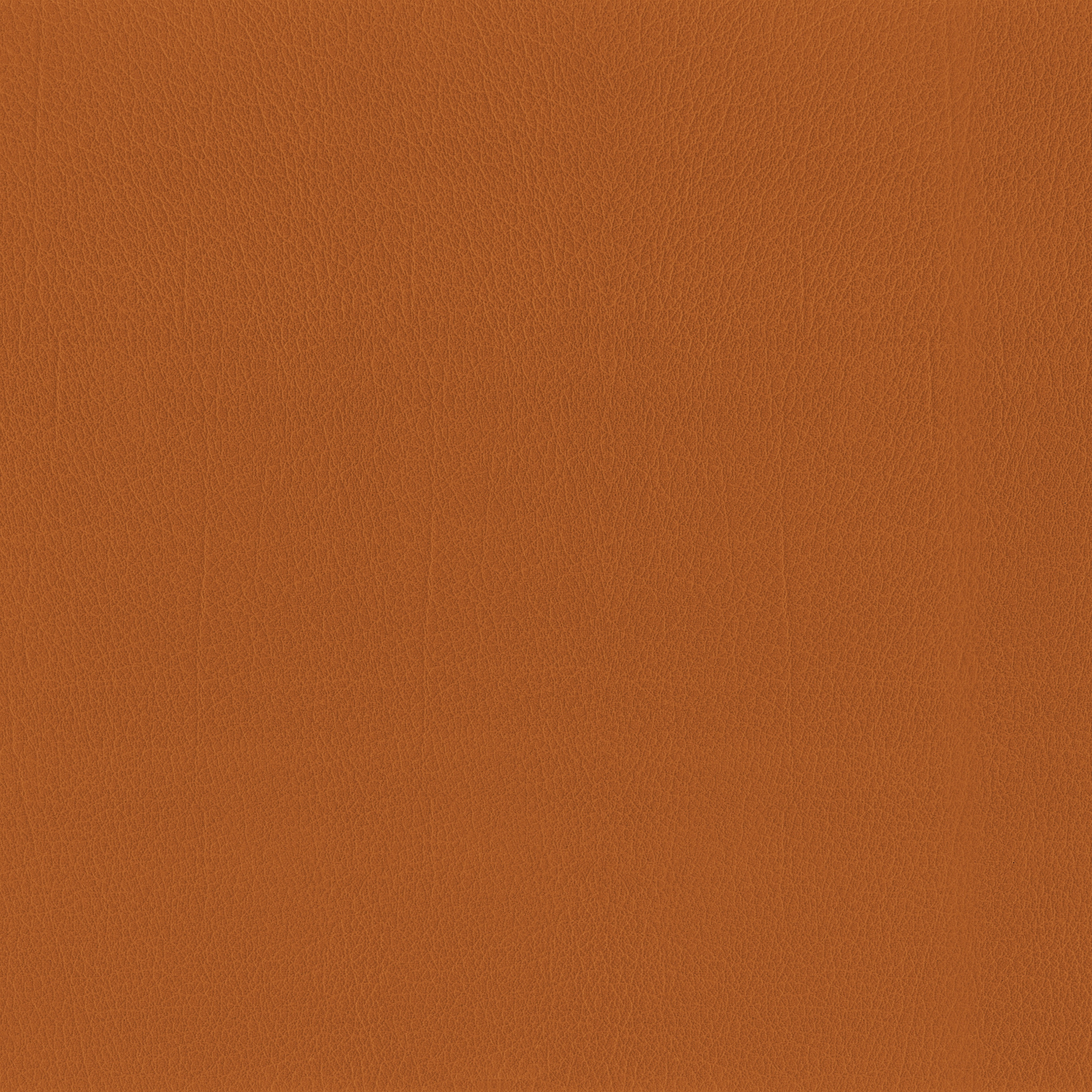 Mostra il prodotto Como | Terracotta del produttore MI-Millennium International