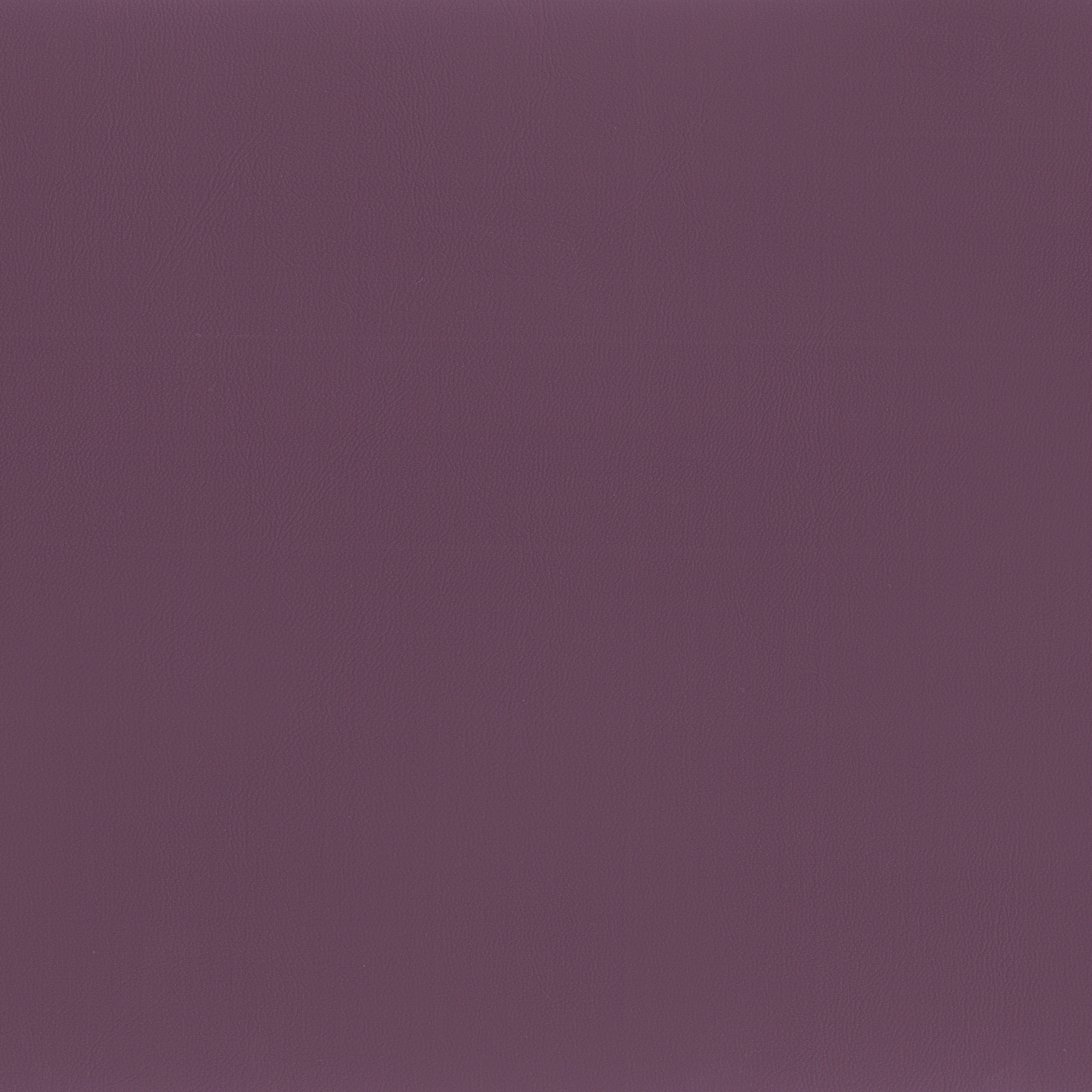 Mostra il prodotto Capri | Aubergine del produttore MI-Millennium International