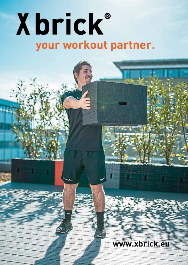 Immagine di anteprima del file Xbrick