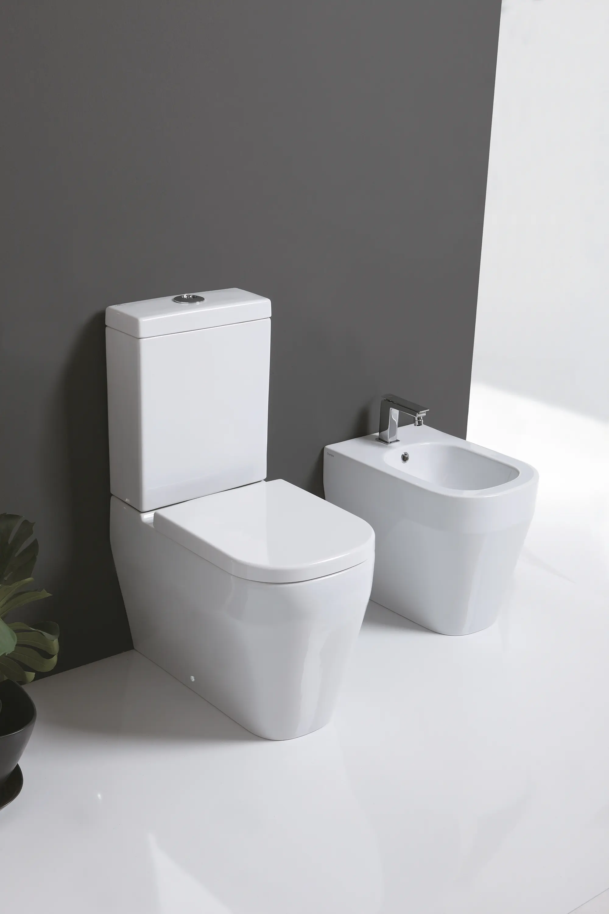 Olympia Ceramica - Tutto Evo - Wc Back to wall - S/P trap