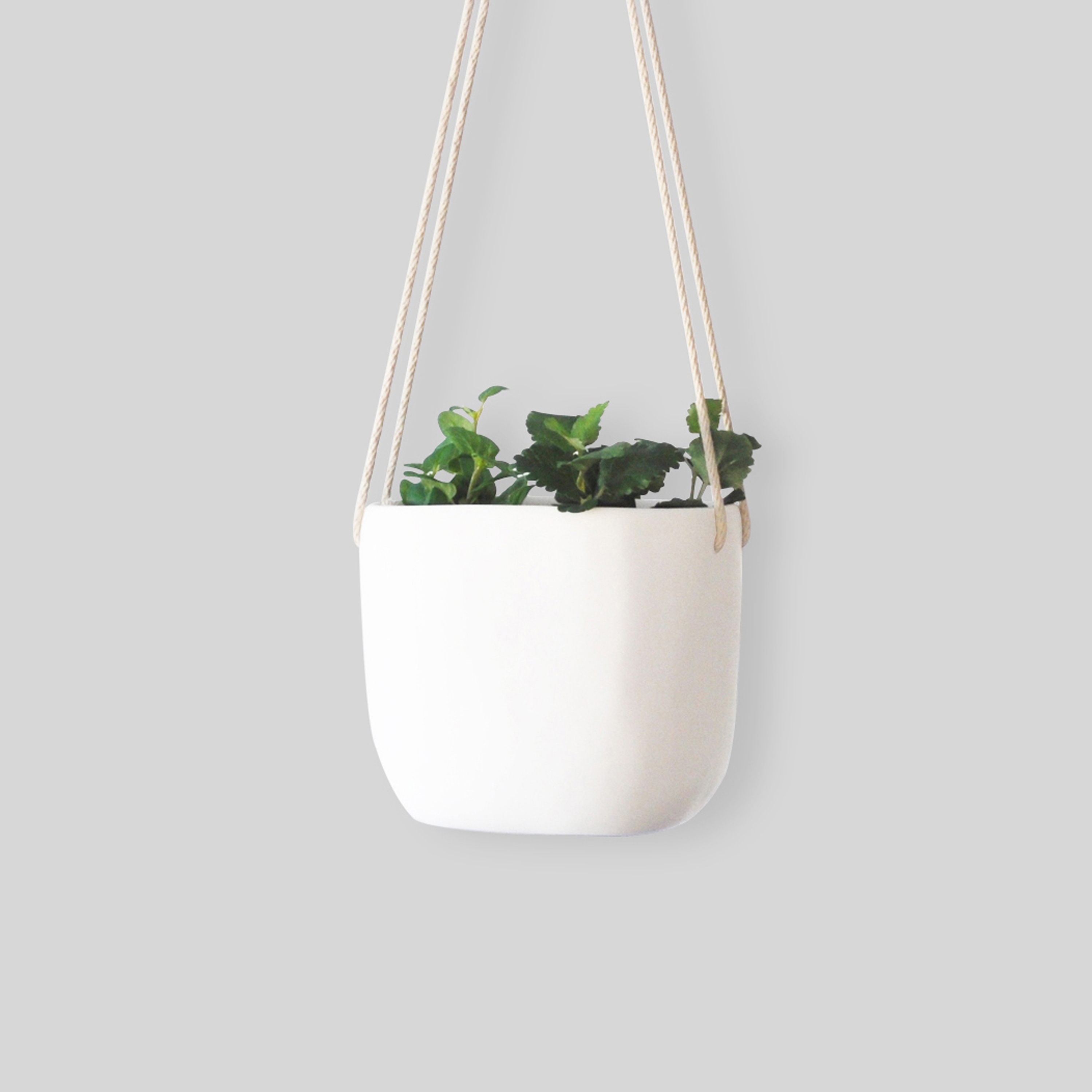Produkt Hanging Planter | 20 Cm des Herstellers Tina Frey Designs anzeigen