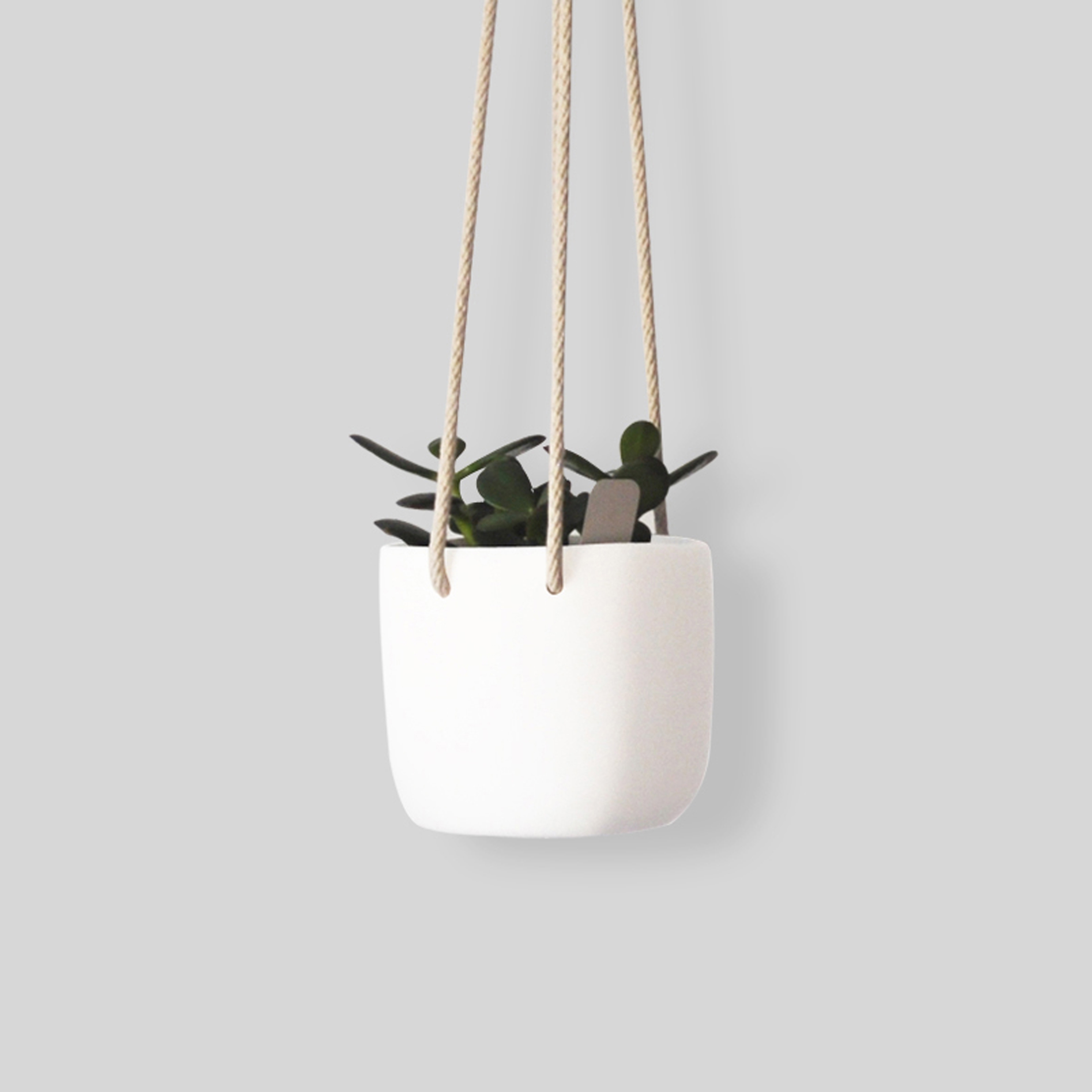 Produkt Hanging Planter | 12 Cm des Herstellers Tina Frey Designs anzeigen