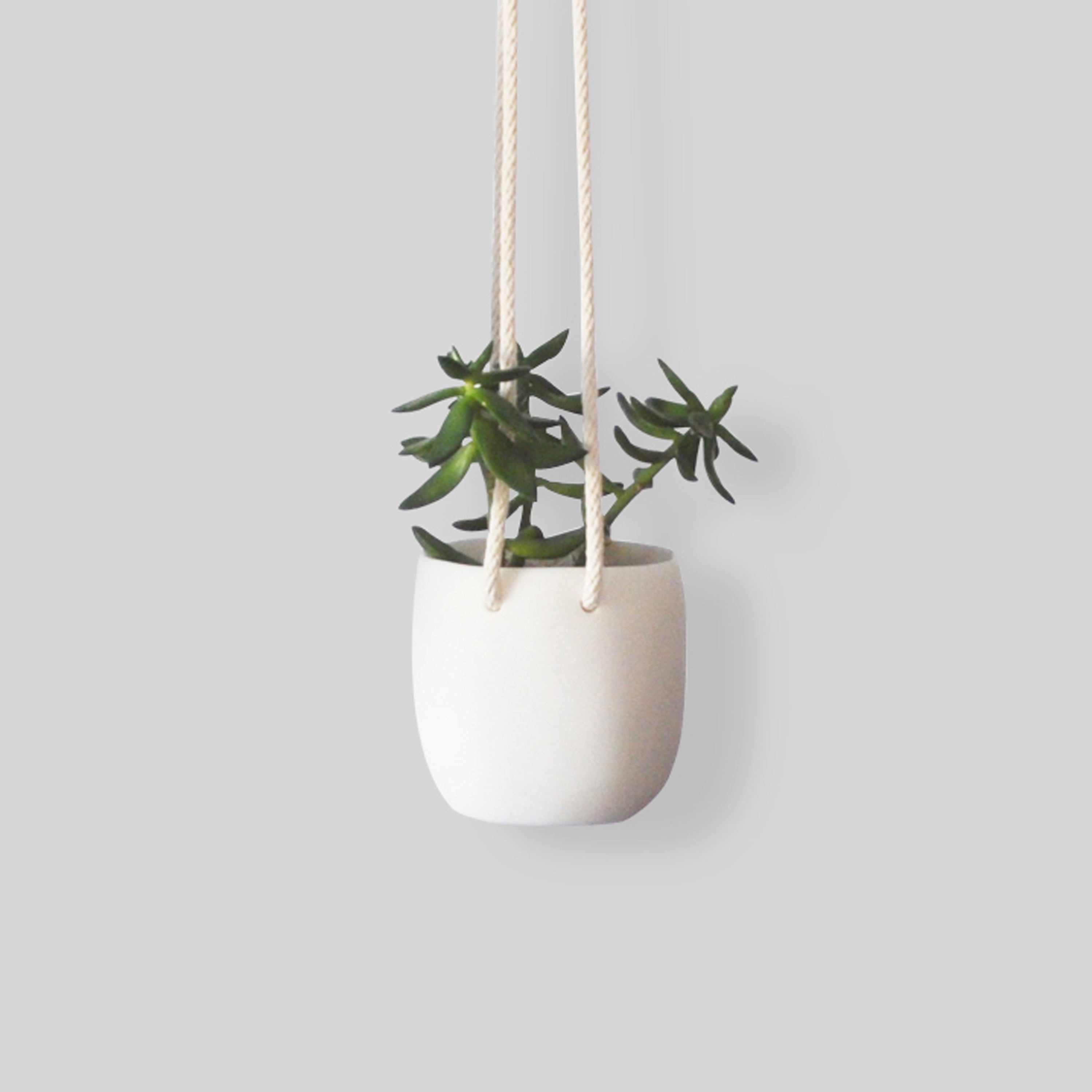 Produkt Hanging Planter | 9 Cm des Herstellers Tina Frey Designs anzeigen