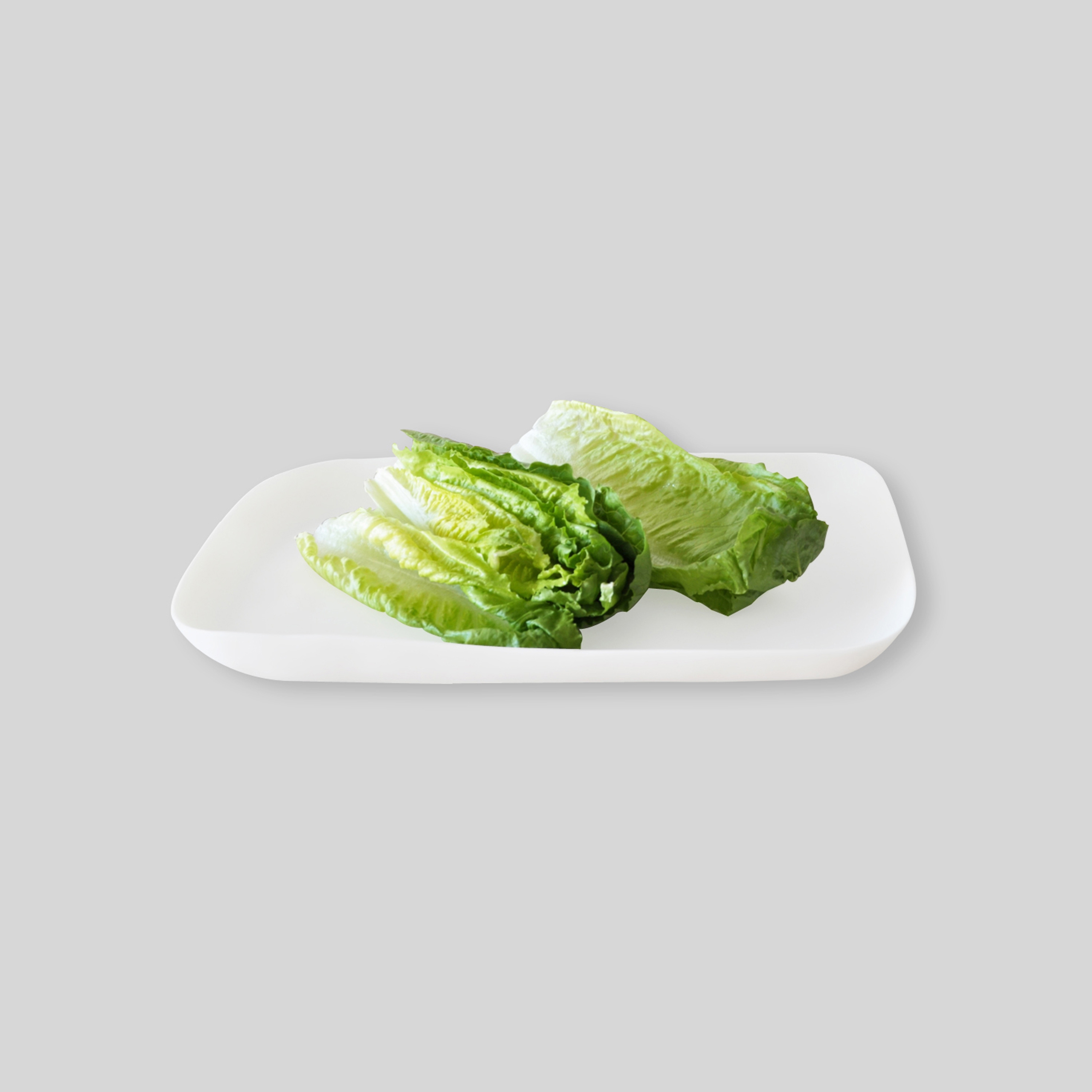Vertoon produk Square Dish | Large Platter van vervaardiger Tina Frey Designs