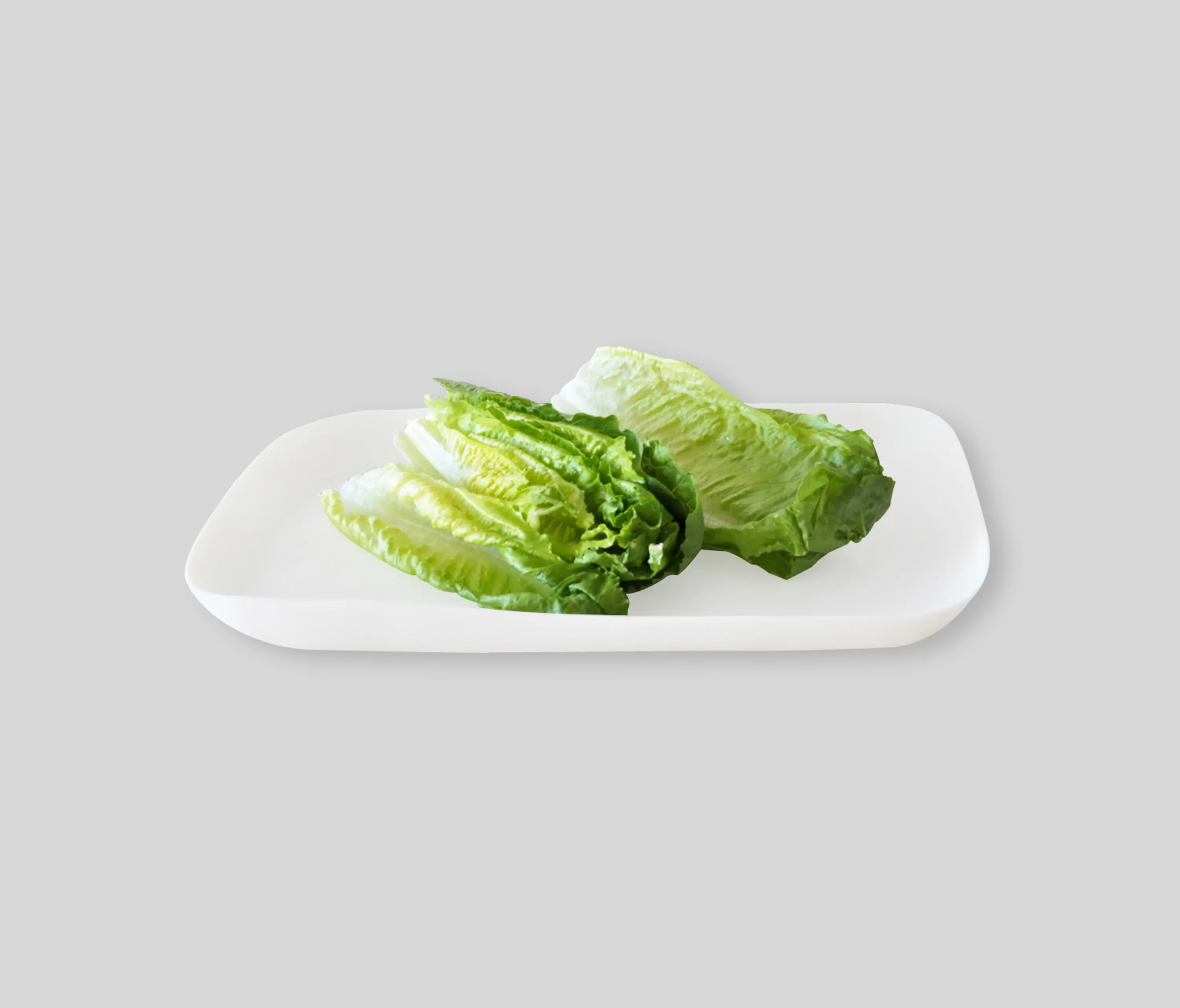 Tina Frey Designs - Square Dish | Large Platter
