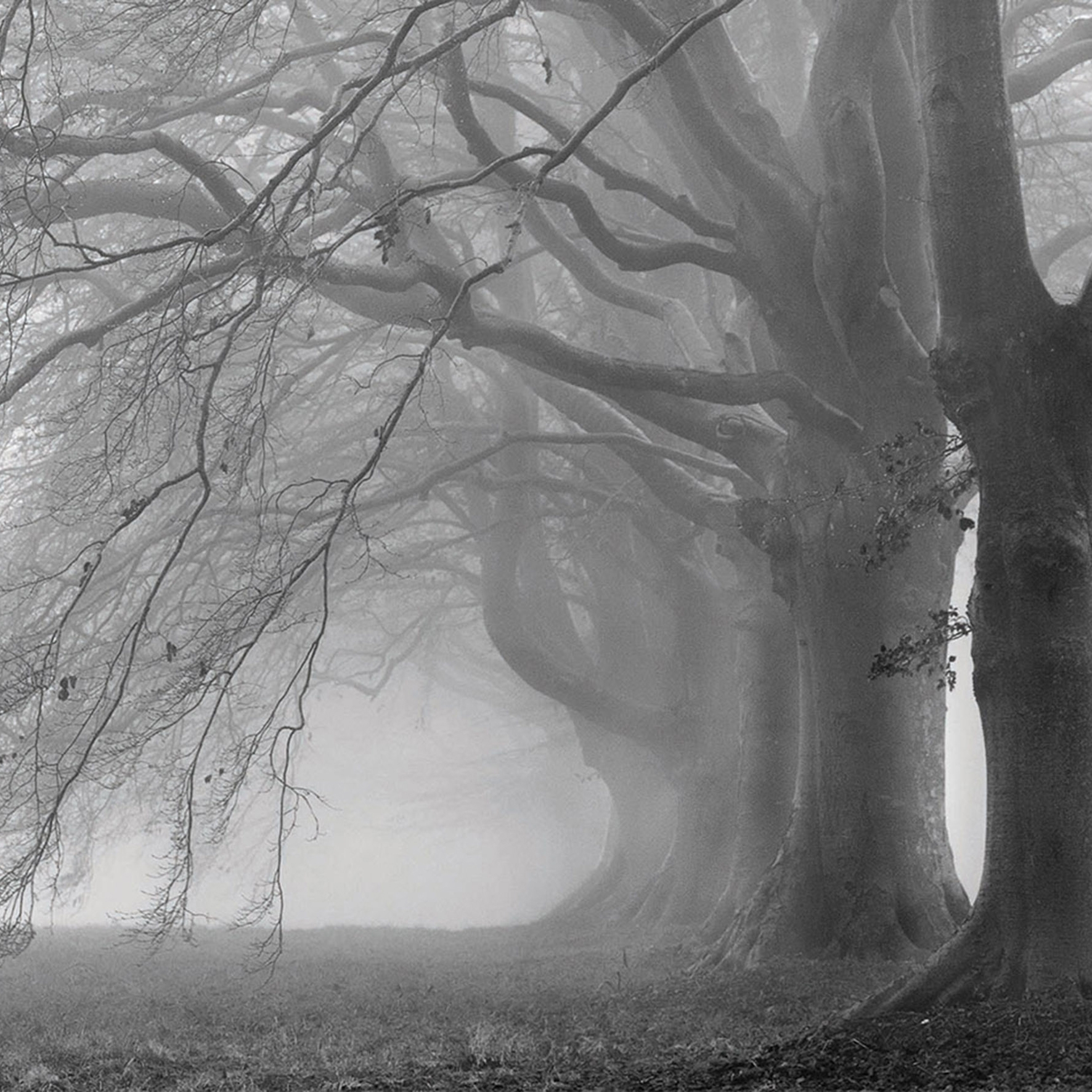 Mostra il prodotto Alice del produttore Creativespace