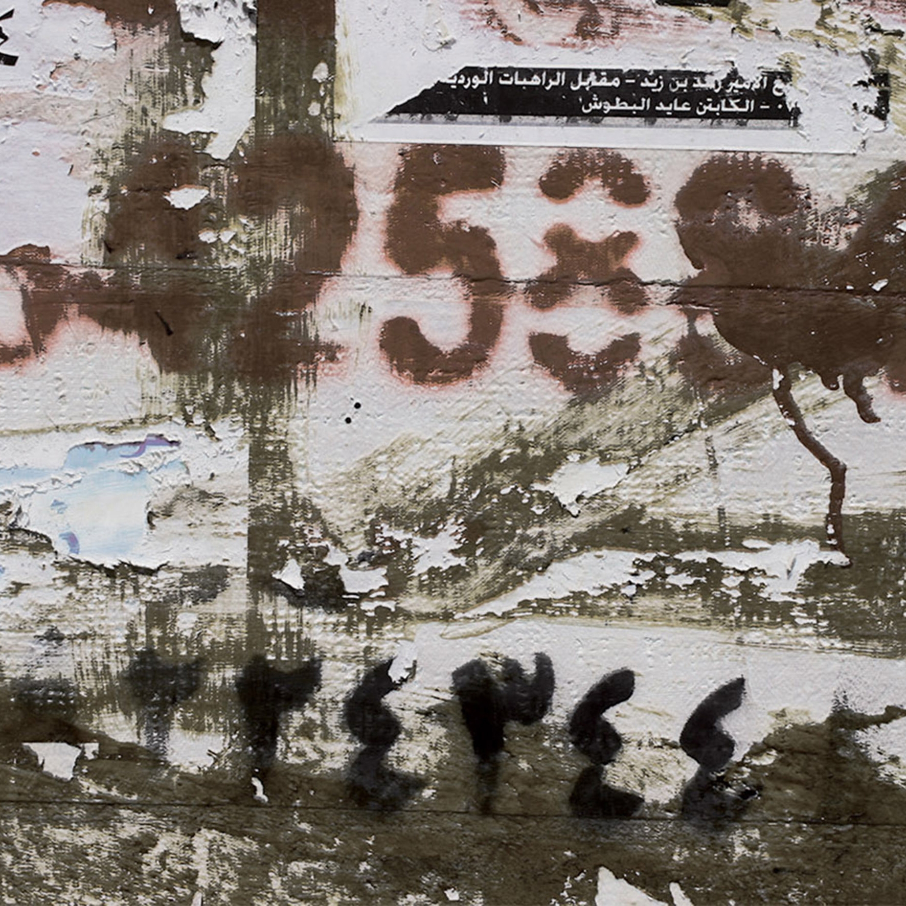 Mostra il prodotto Brush del produttore Creativespace