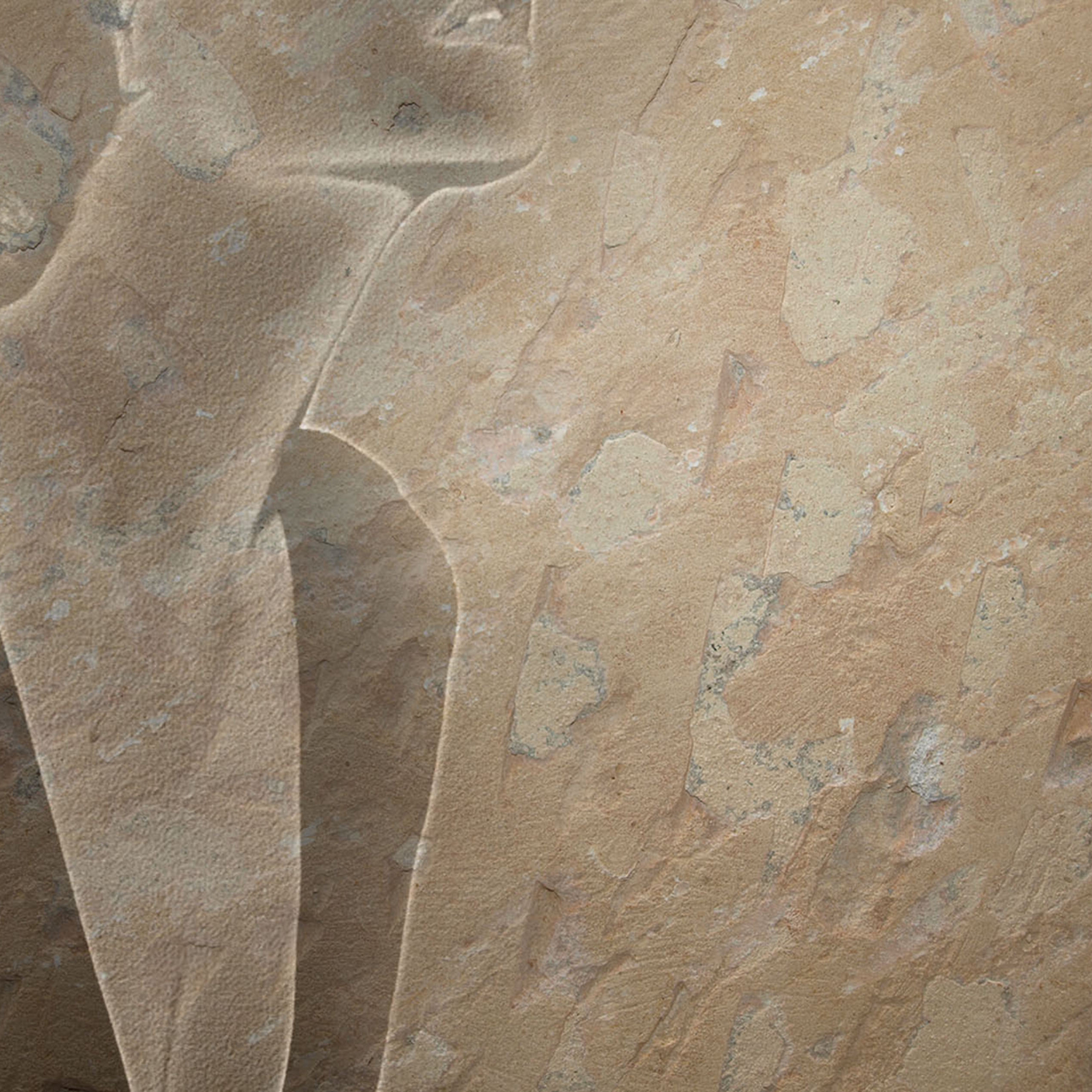 Mostra il prodotto CM004 del produttore Creativespace