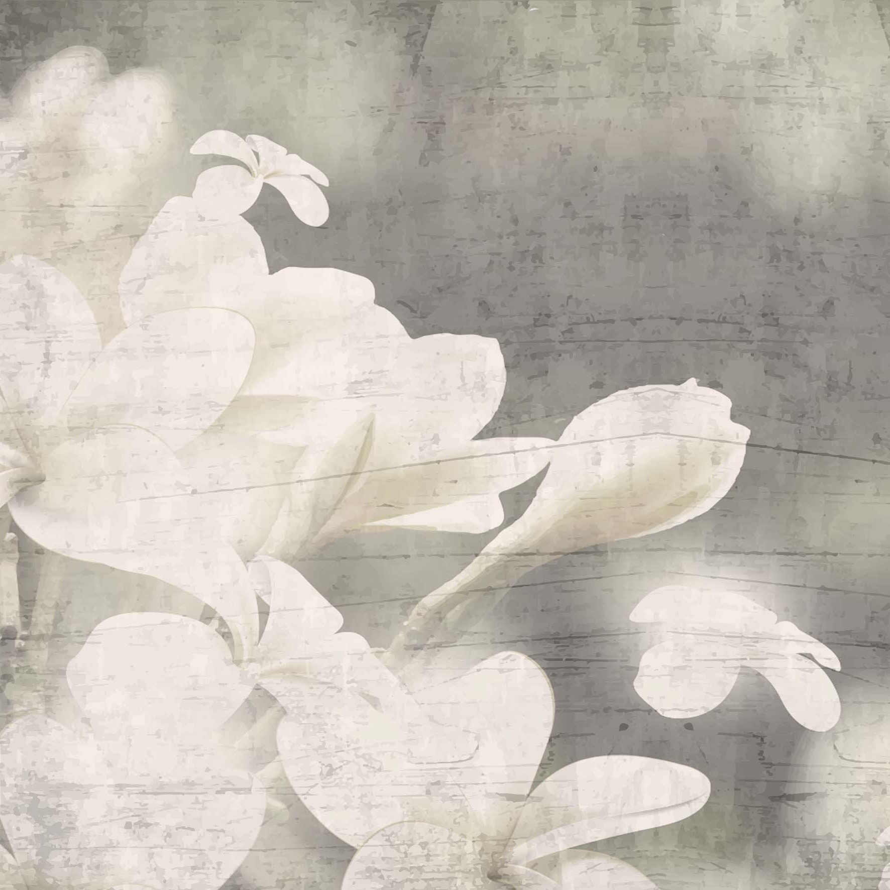 Mostra il prodotto Dali del produttore Creativespace