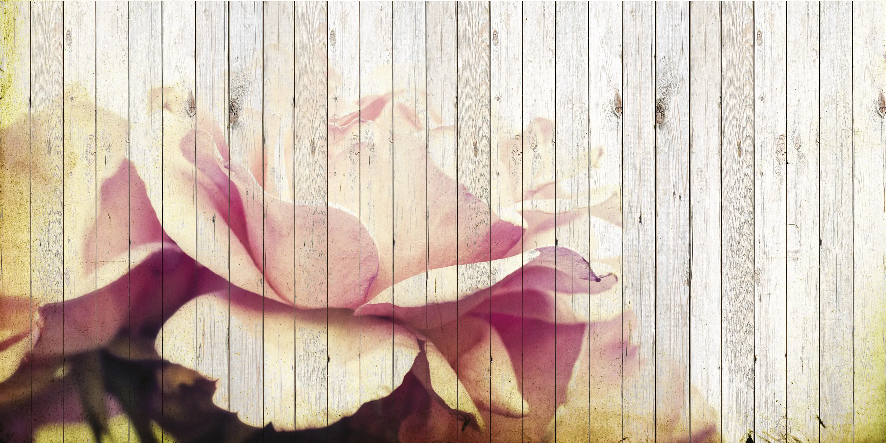 Creativespace - Flower