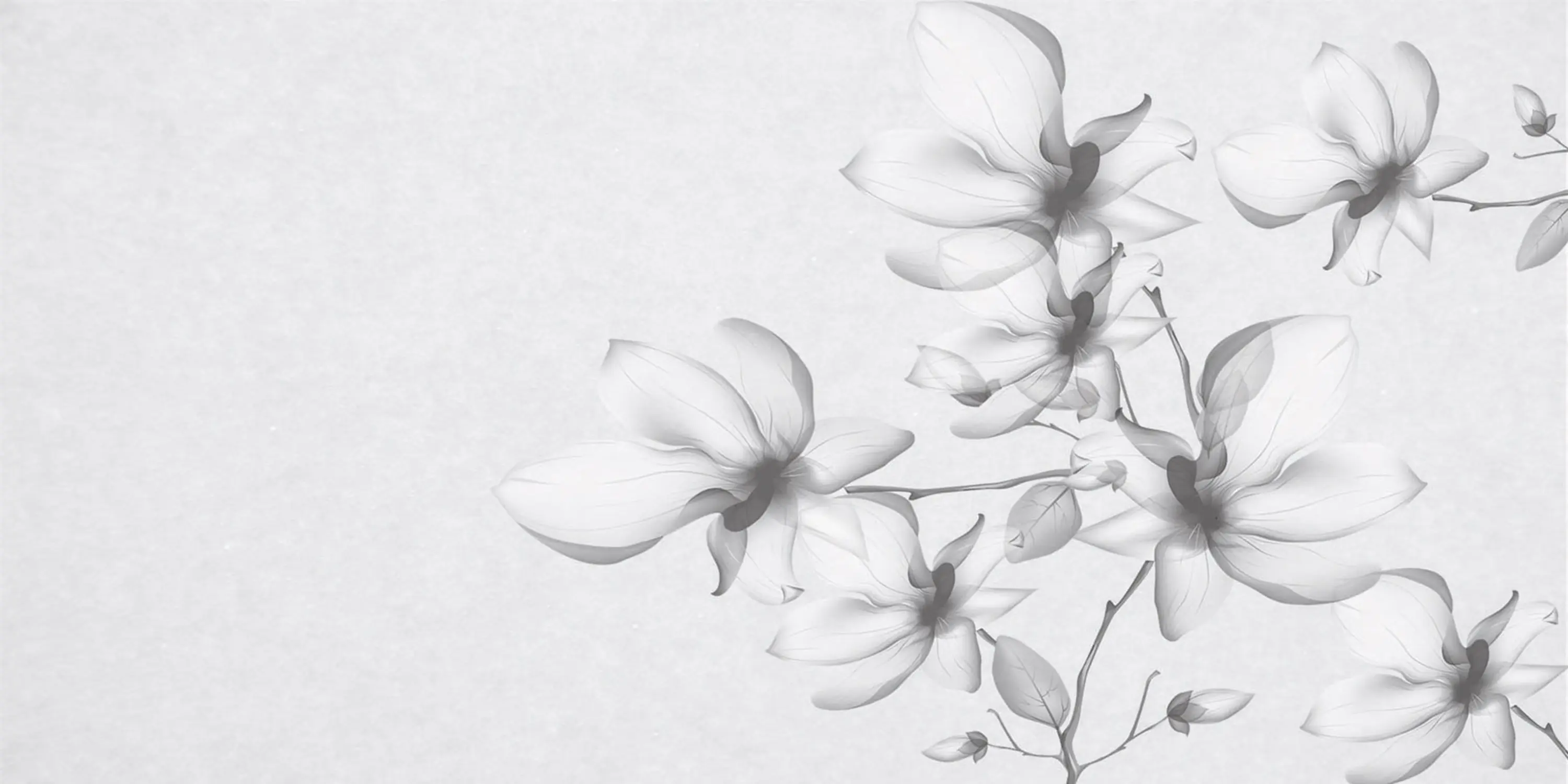 Creativespace - For You