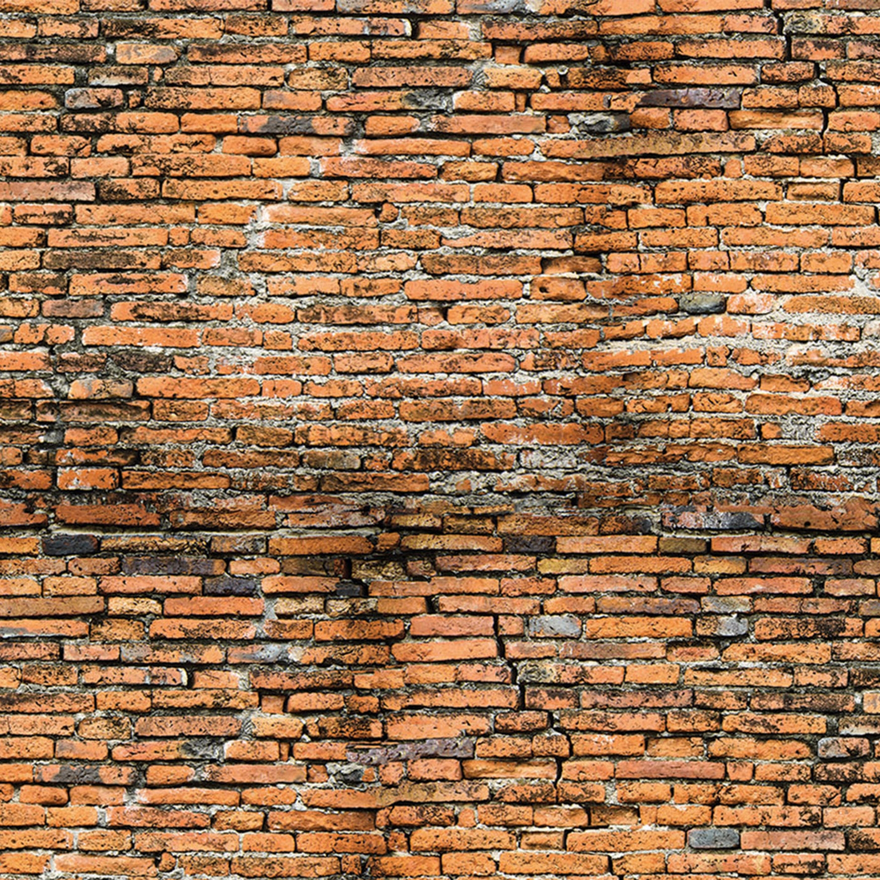 Mostra il prodotto Grrr del produttore Creativespace