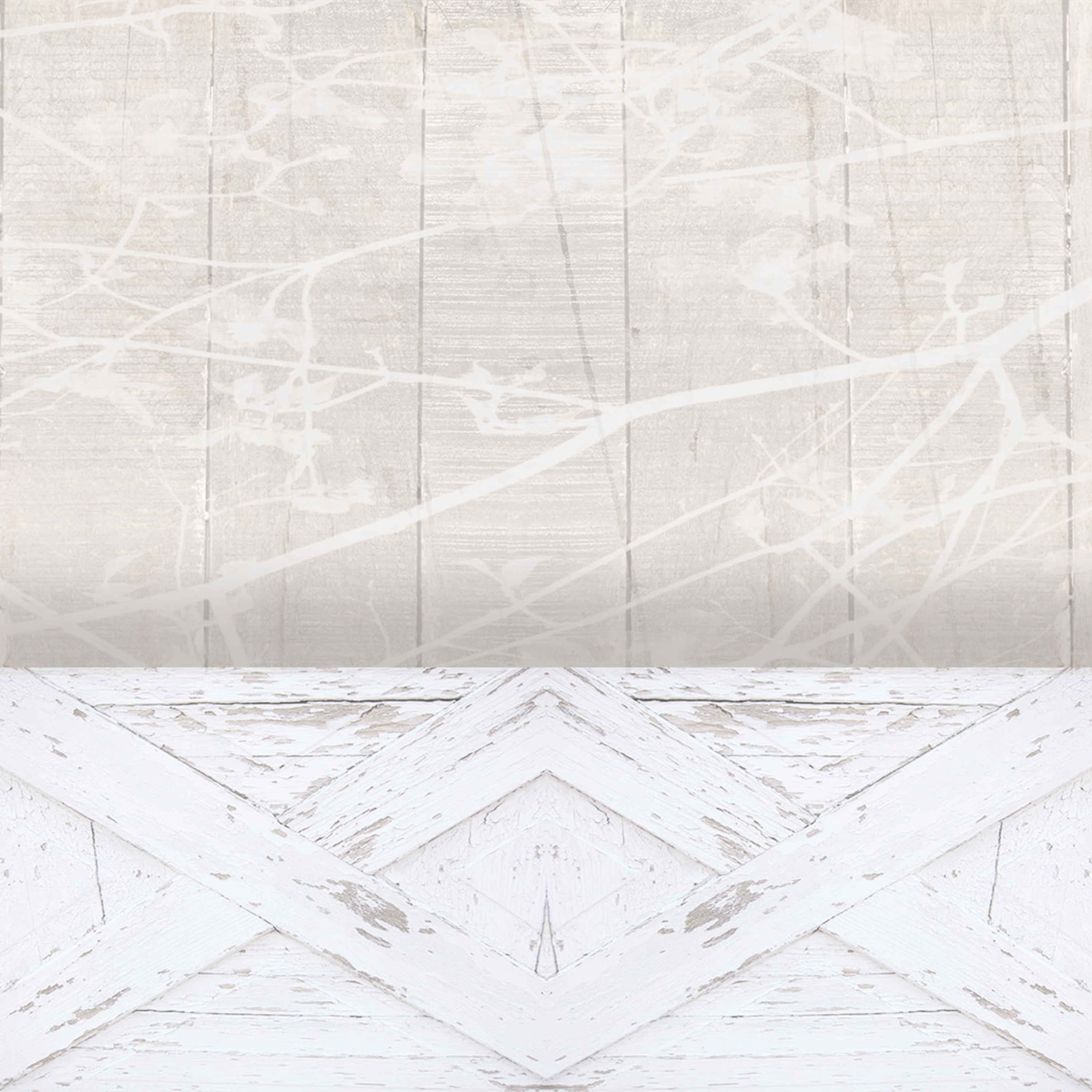 Mostra il prodotto Moon del produttore Creativespace