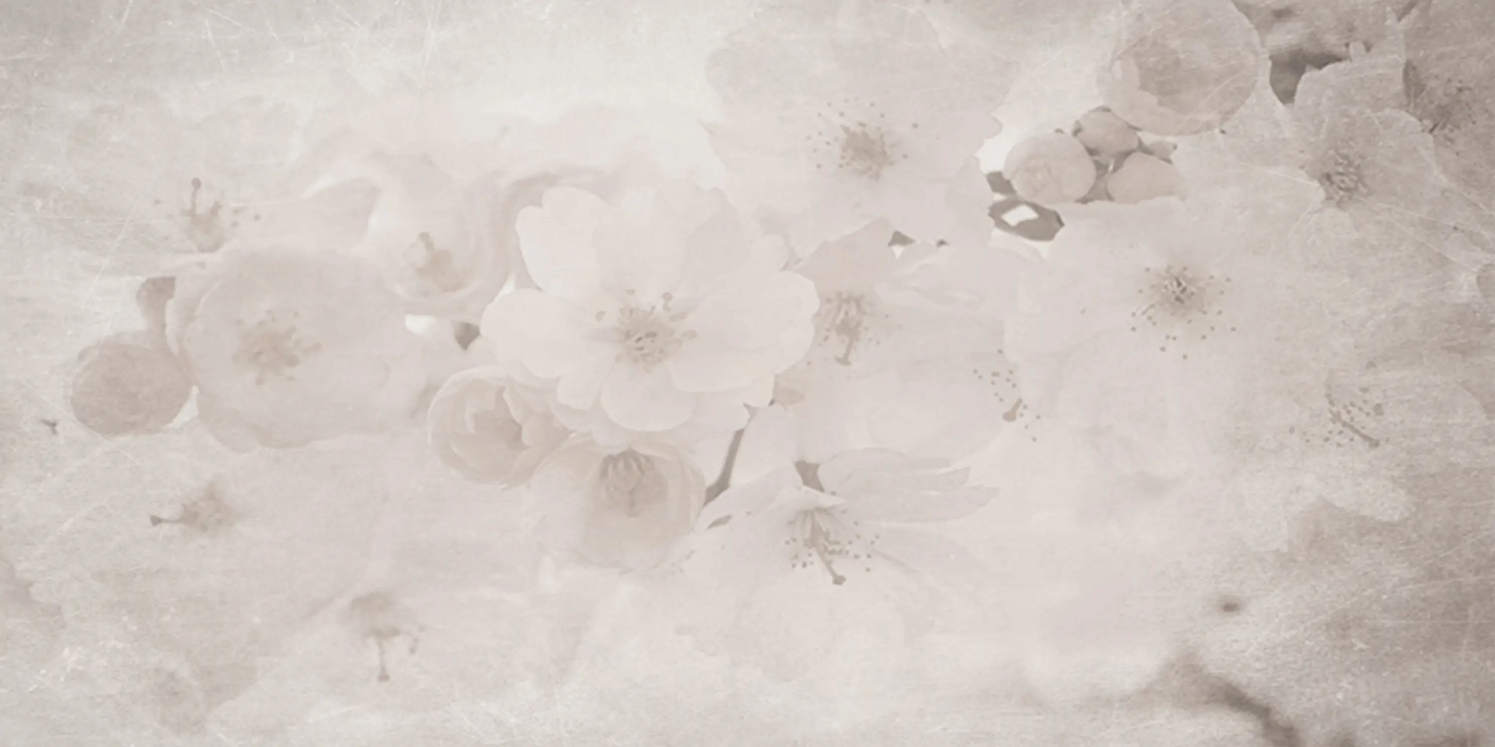 Creativespace - Orchid