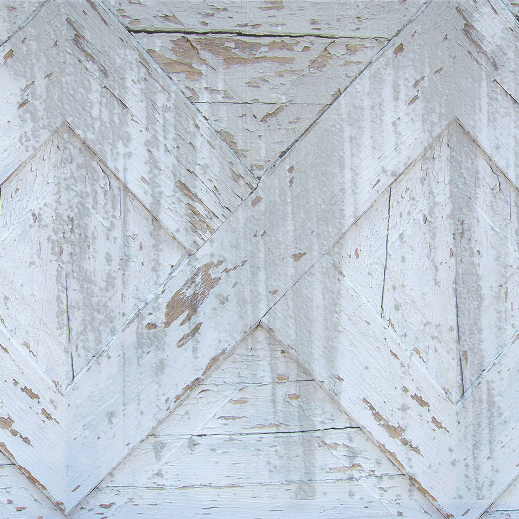 Mostra il prodotto Shubby del produttore Creativespace