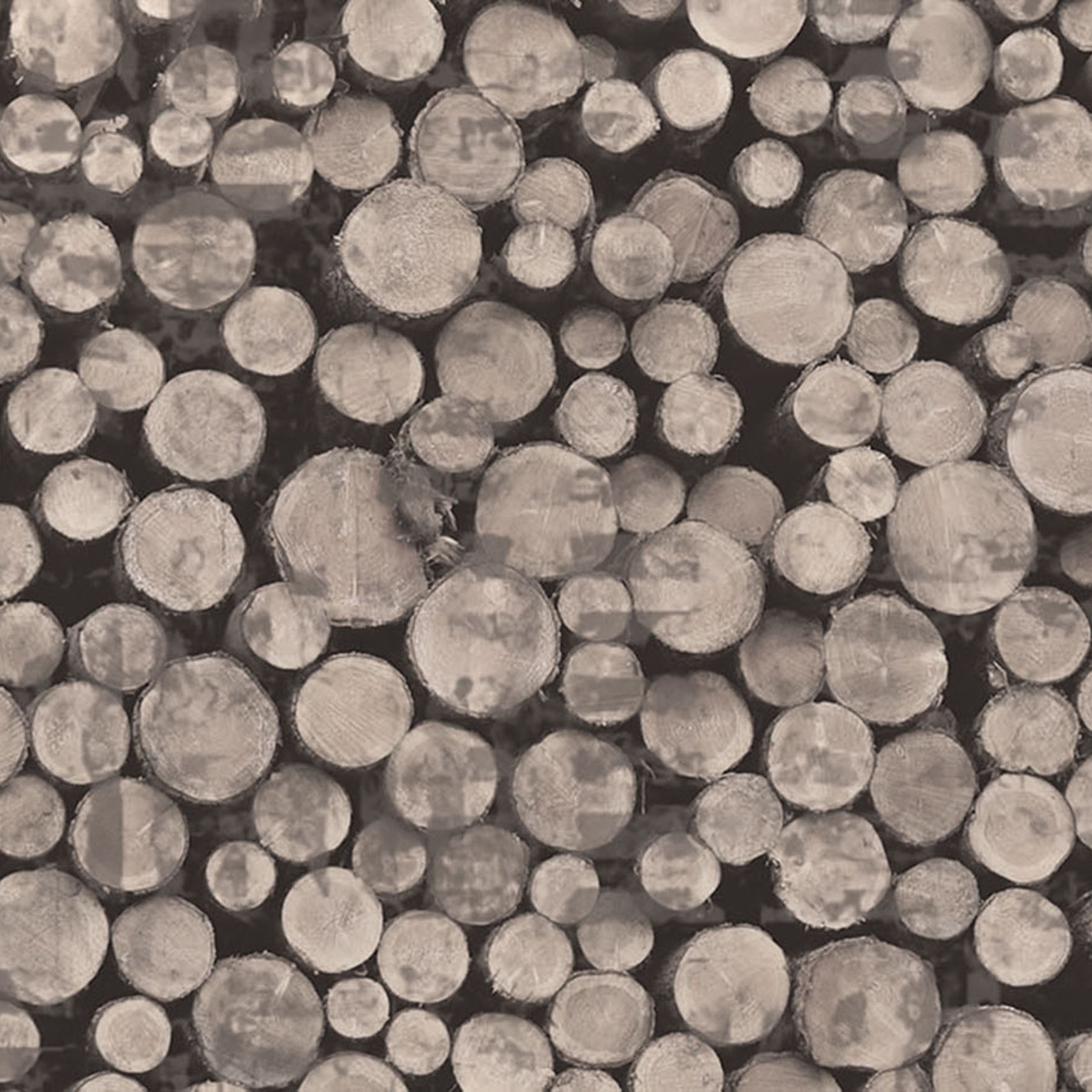 Wood