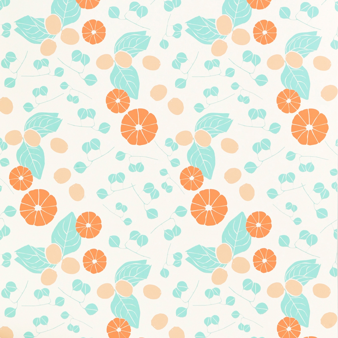 Vitamin C⎟clementine