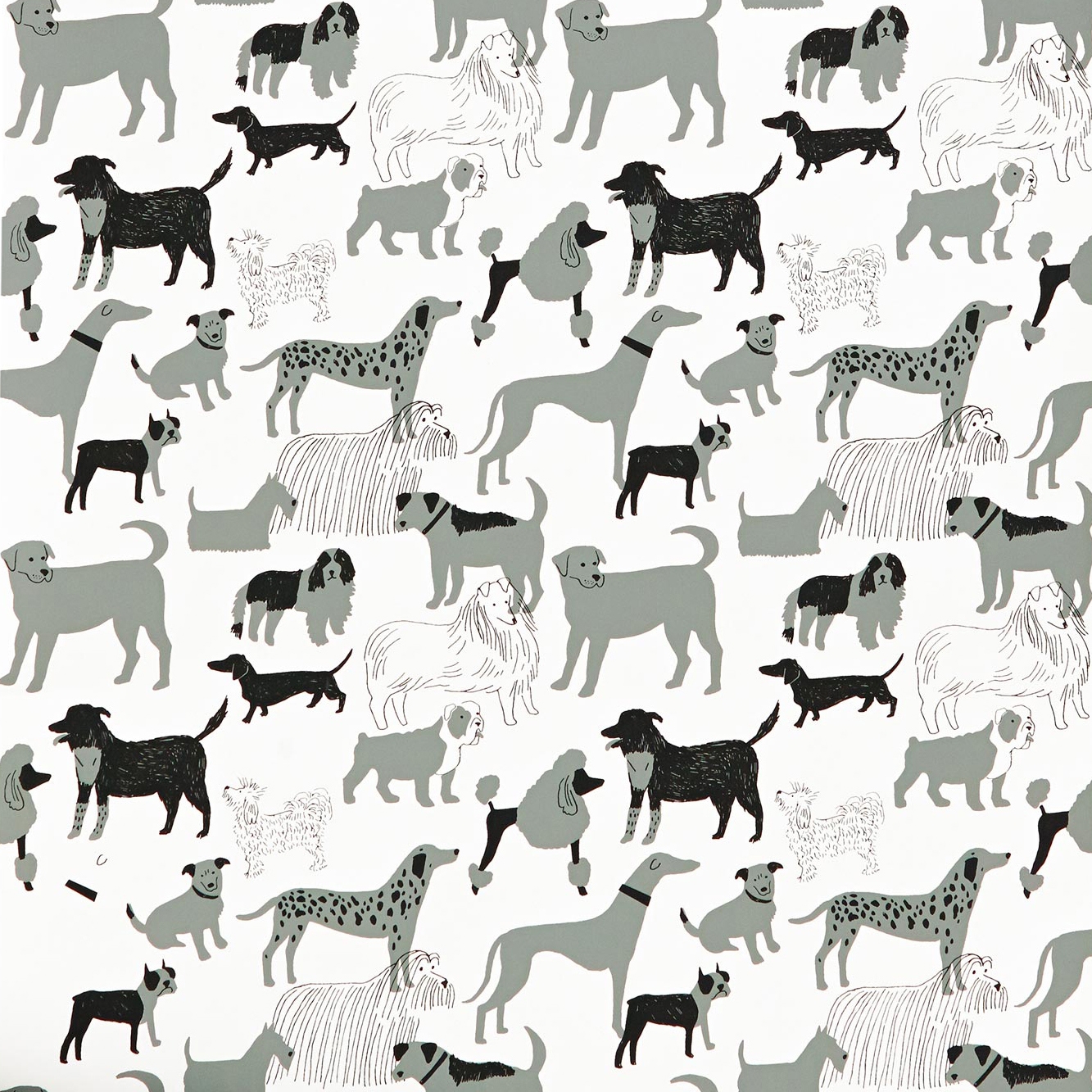 Dog Park⎟gray
